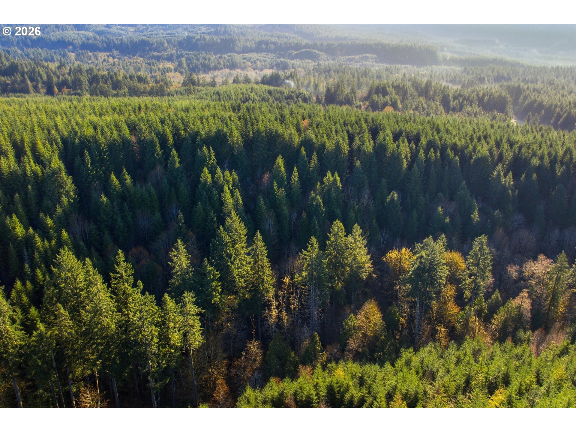 Nowakowski RD, Banks, OR 97106