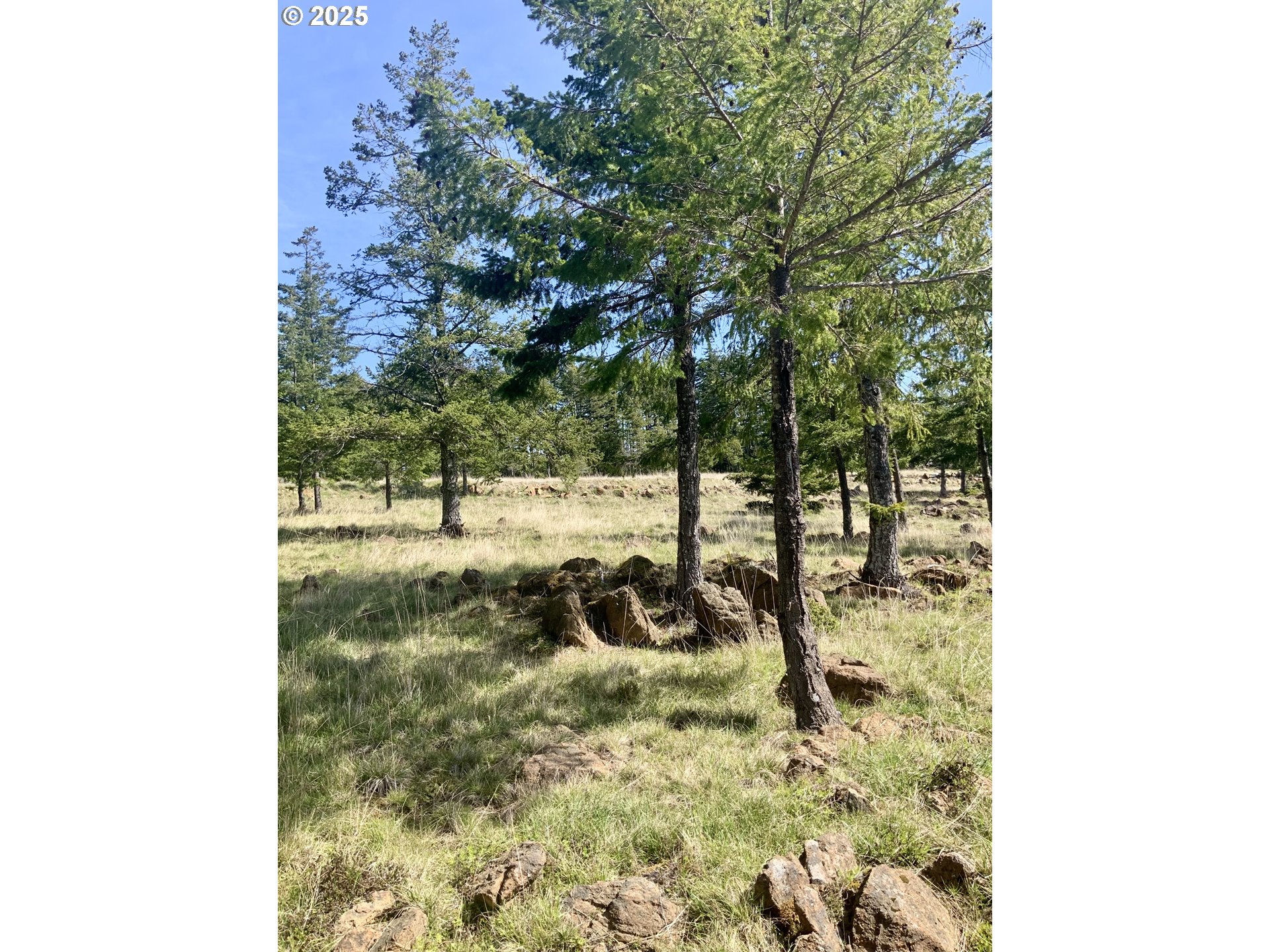 95645 SPIRIT RIDGE RD, GoldBeach, OR 97444