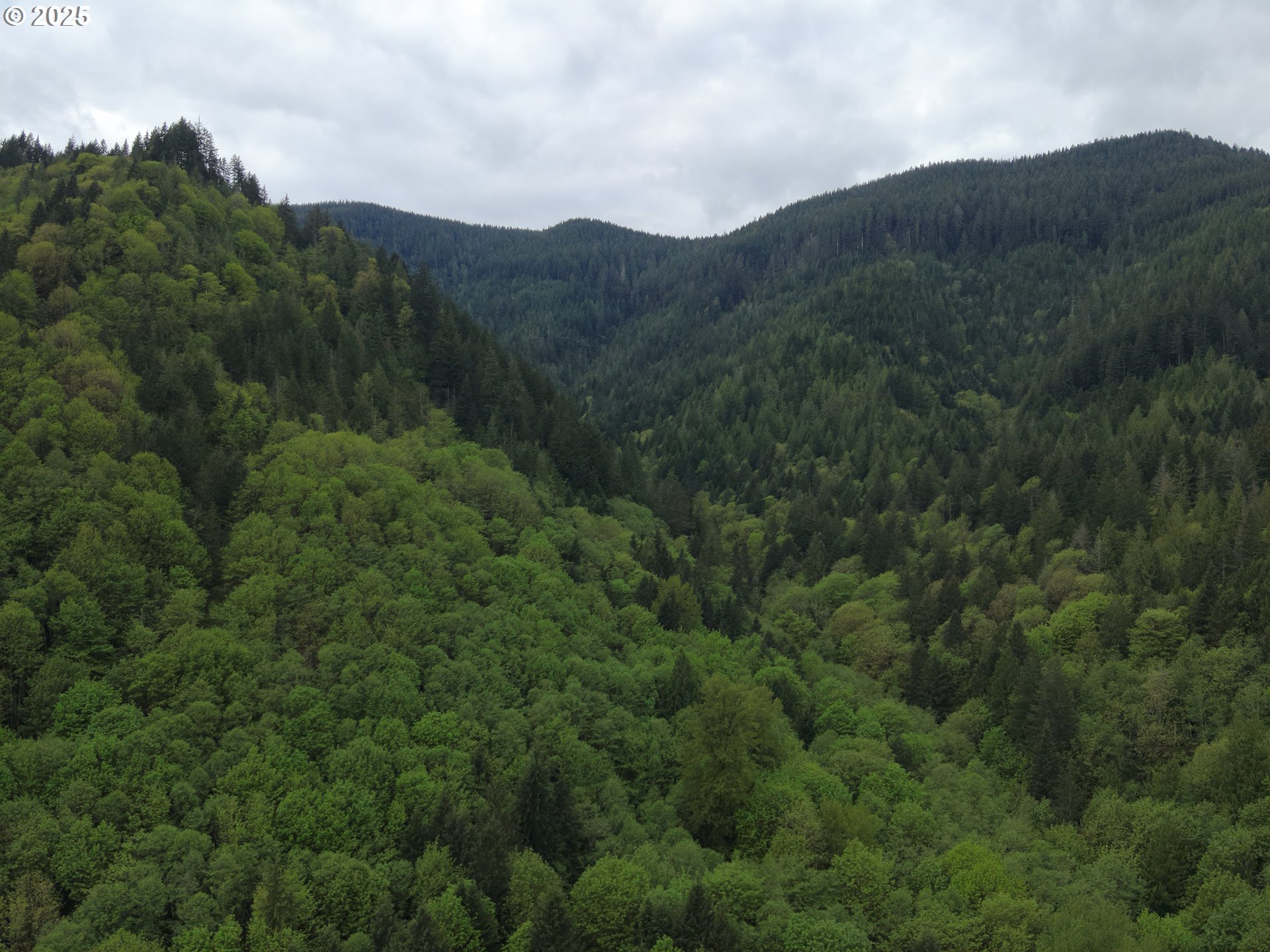 Crystal Creek RD, Welches, OR 97067