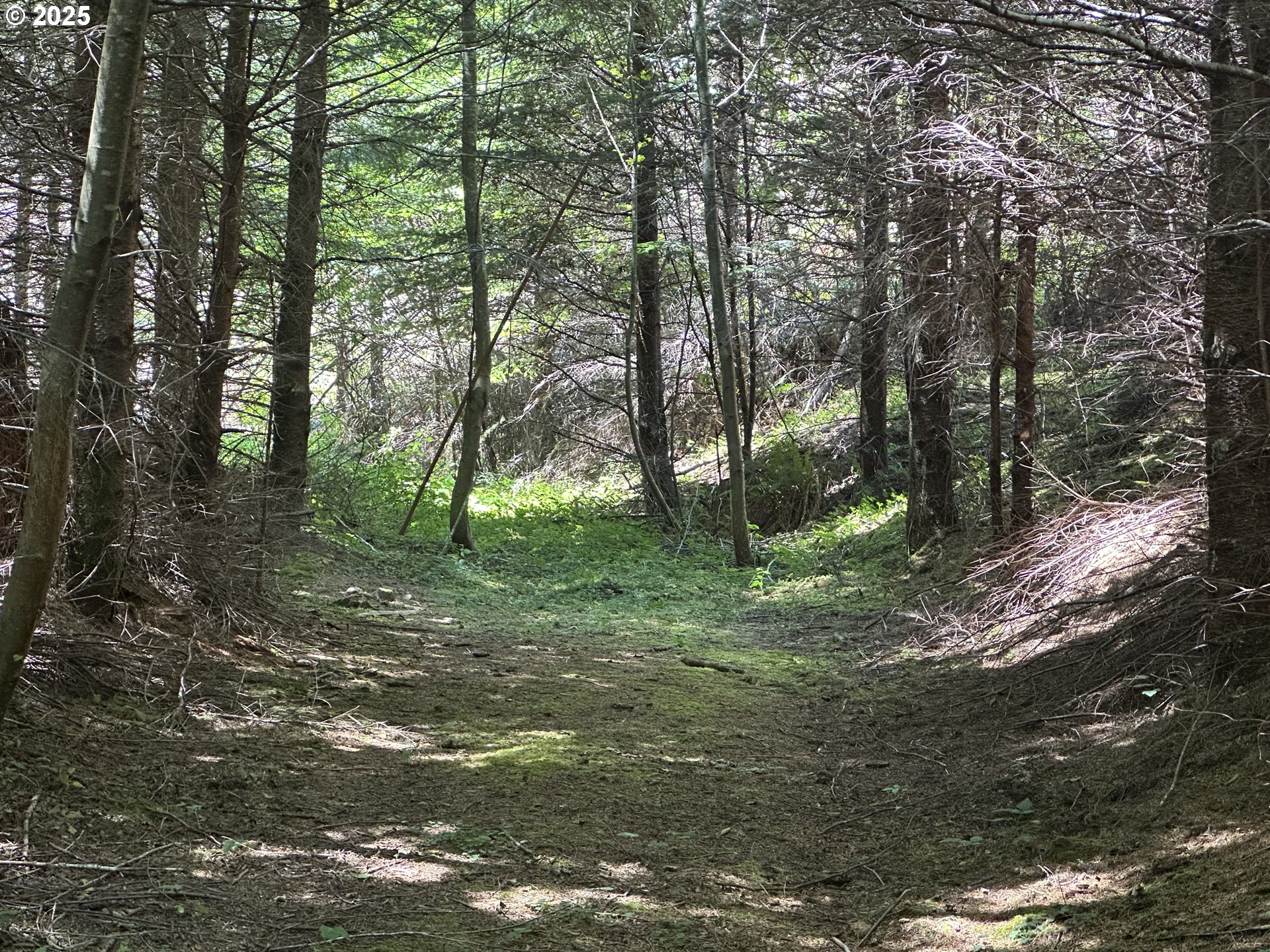 Glenn Creek RD, Allegany, OR 97407
