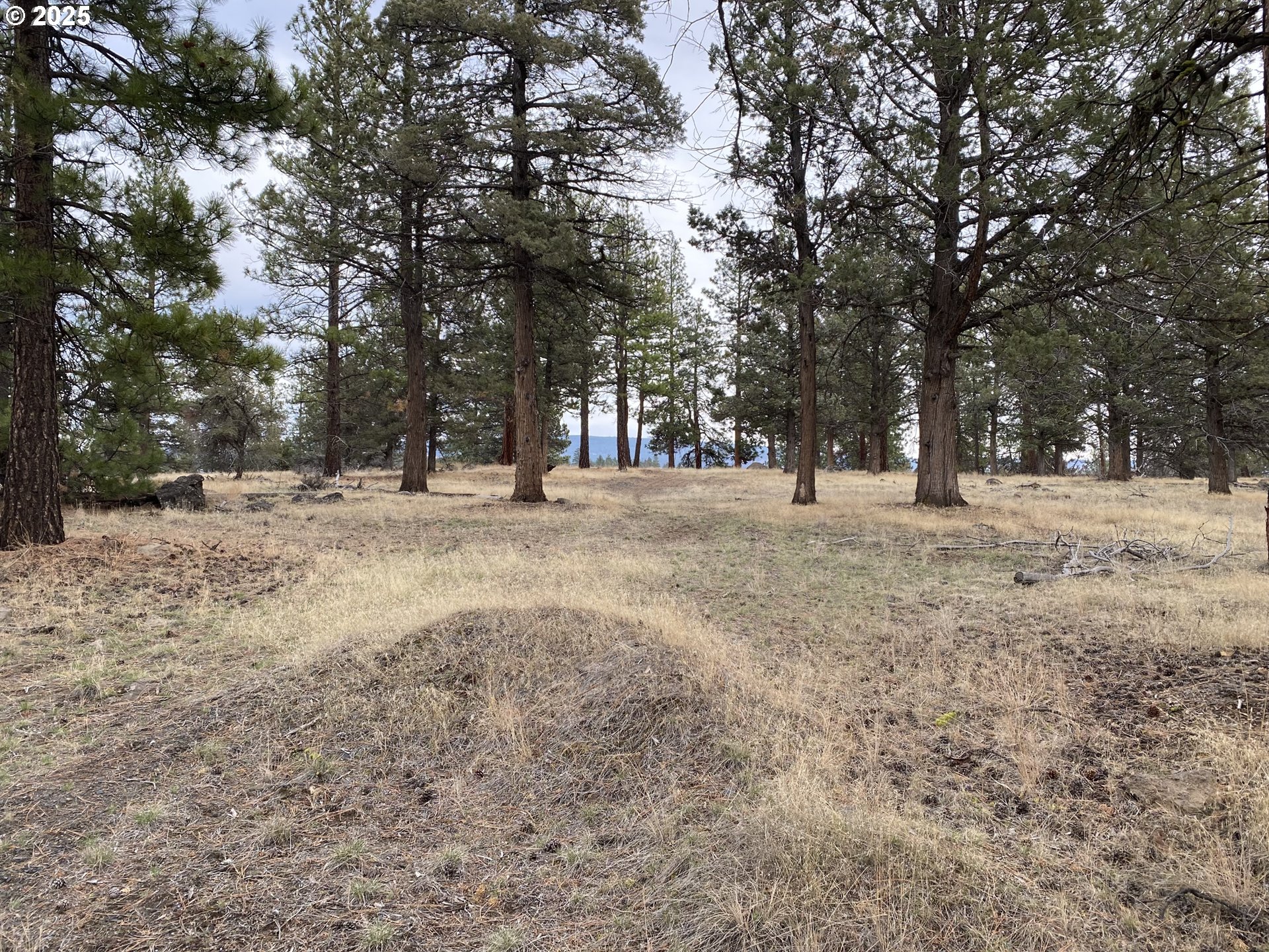 Widgeon DR, Bonanza, OR 97623