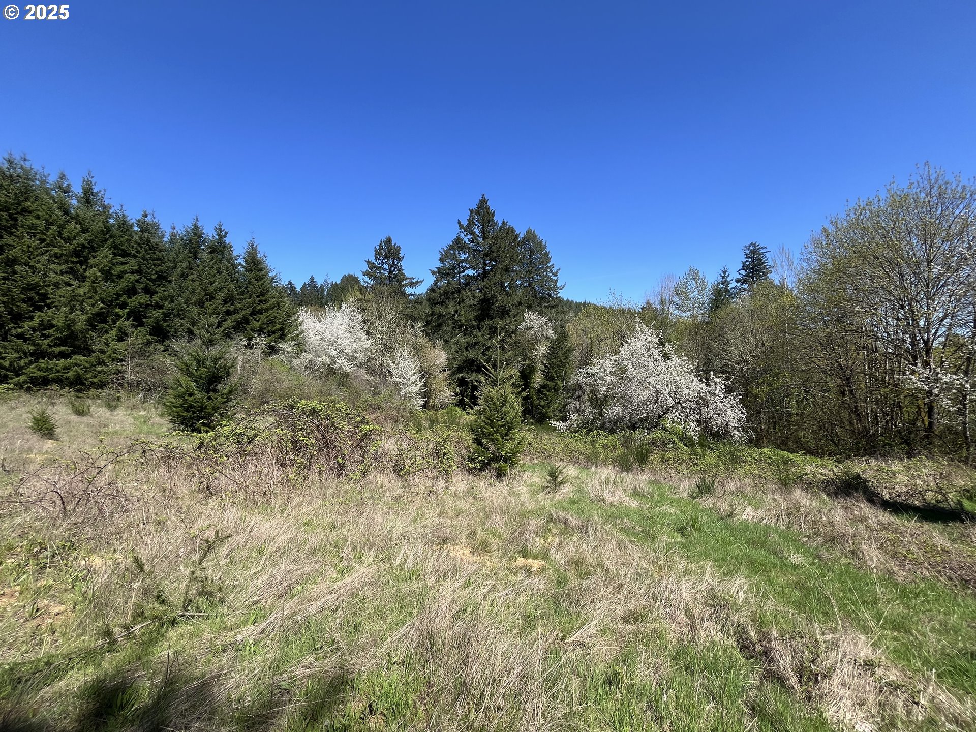 DAVID HILL RD, ForestGrove, OR 97116
