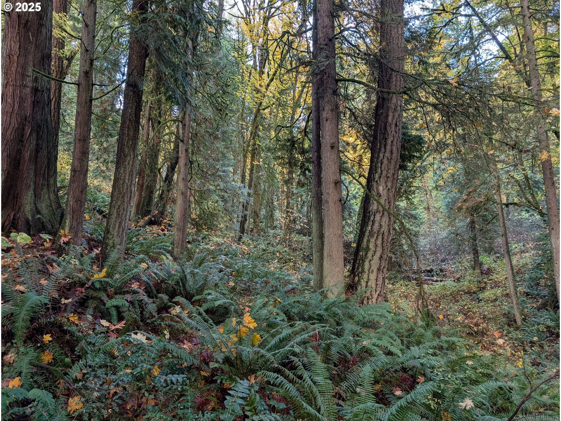 THOMPSON RD, Portland, OR 97210