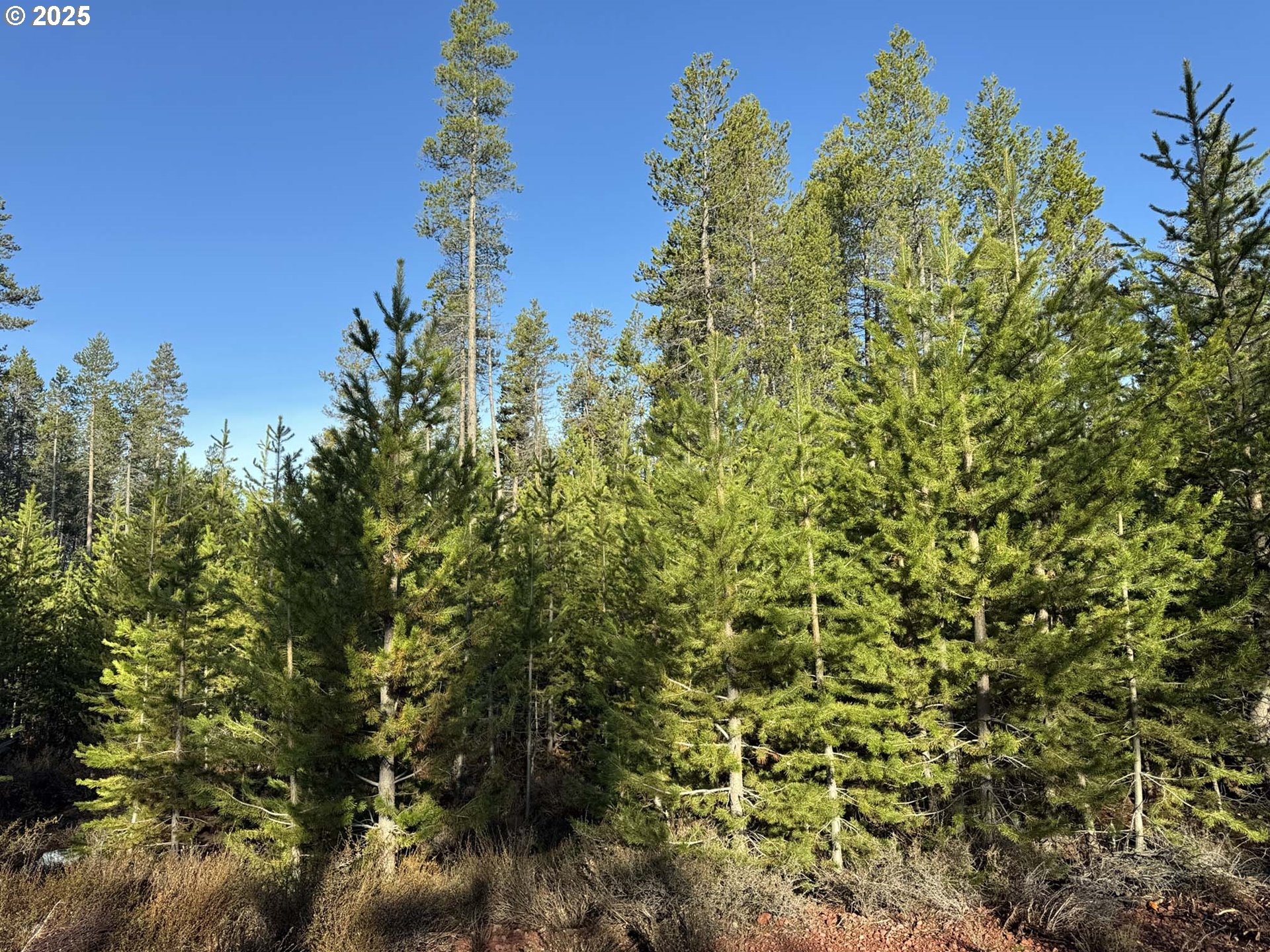 Artesian DR, Chiloquin, OR 97624
