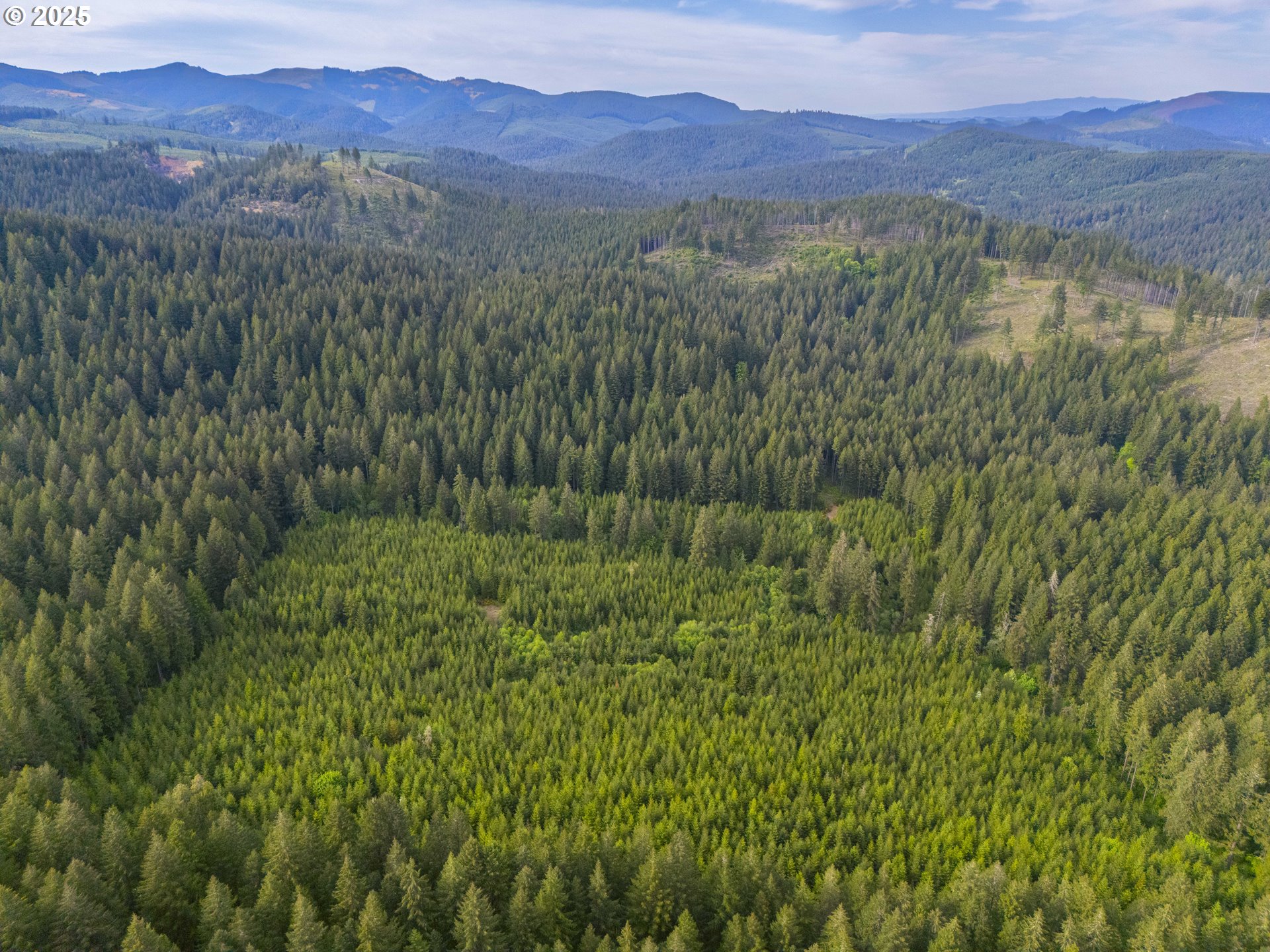 Shotgun Creek RD, Marcola, OR 97454