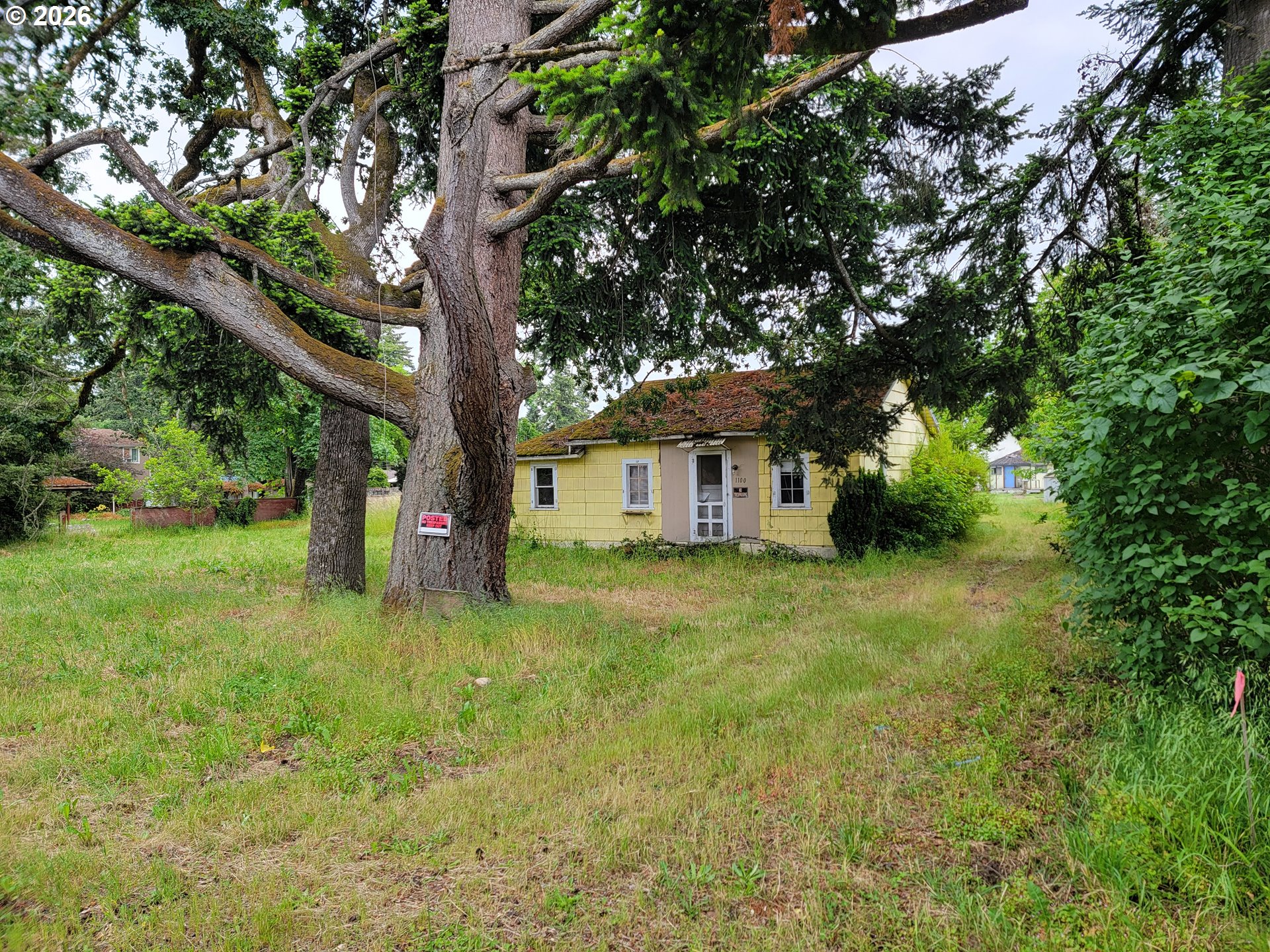 1100 SANTIAM ST, Stayton, OR 97383