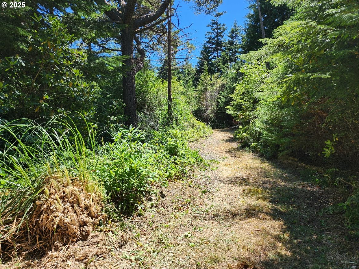 Vista DR, PortOrford, OR 97465