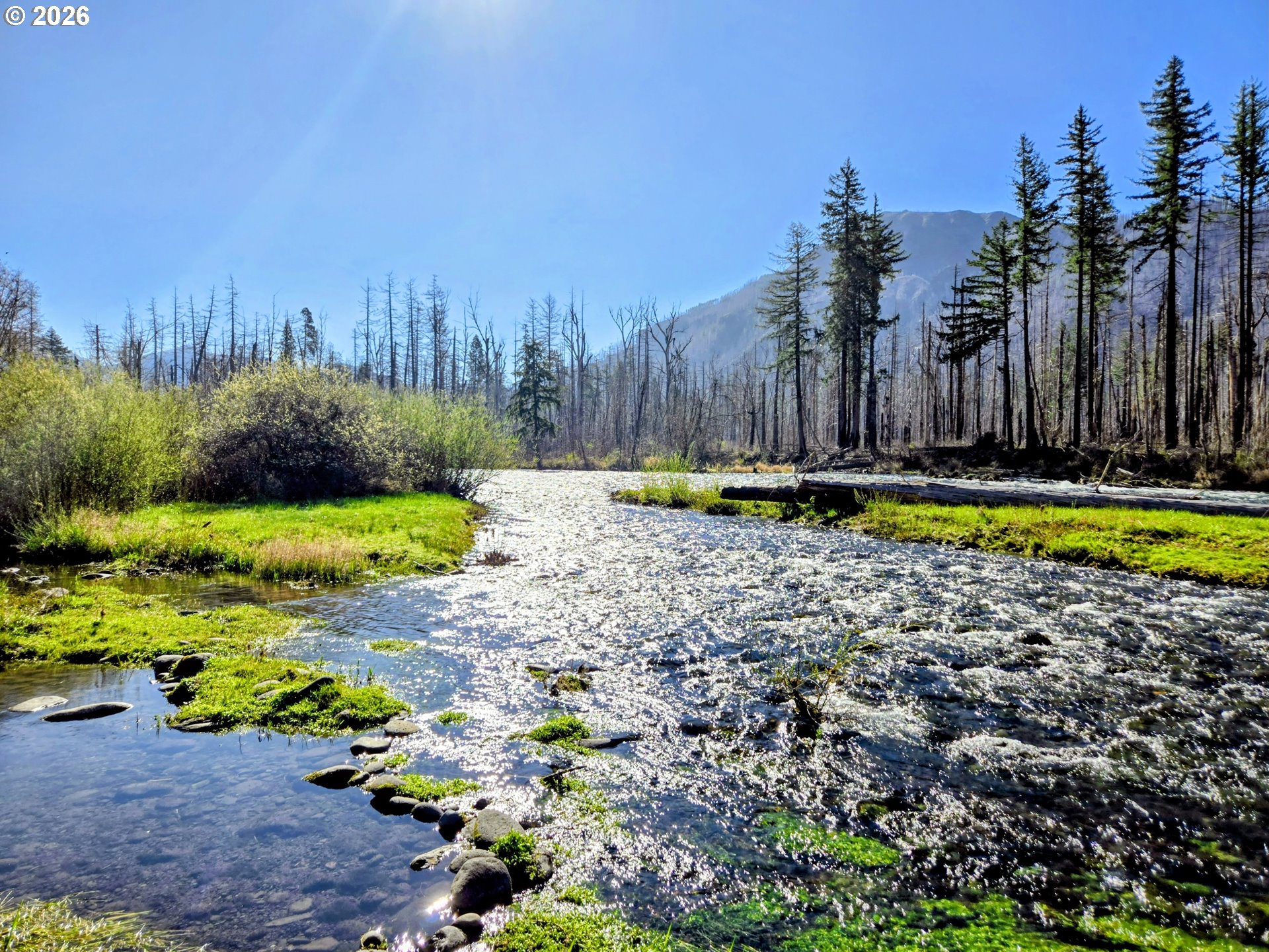 52912 MCKENZIE HWY, BlueRiver, OR 97413