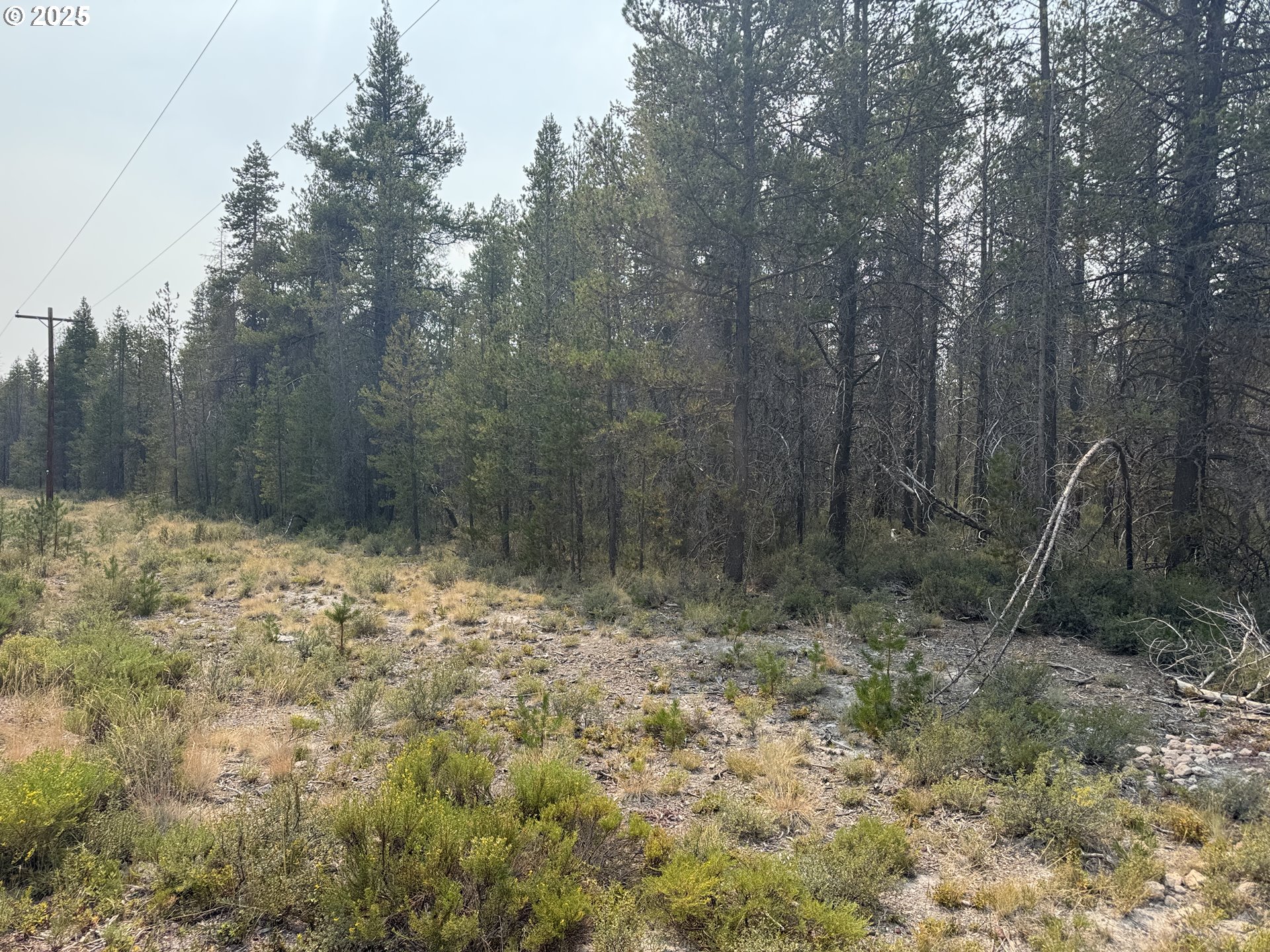 Cloudcap Drive, Chiloquin, OR 97624