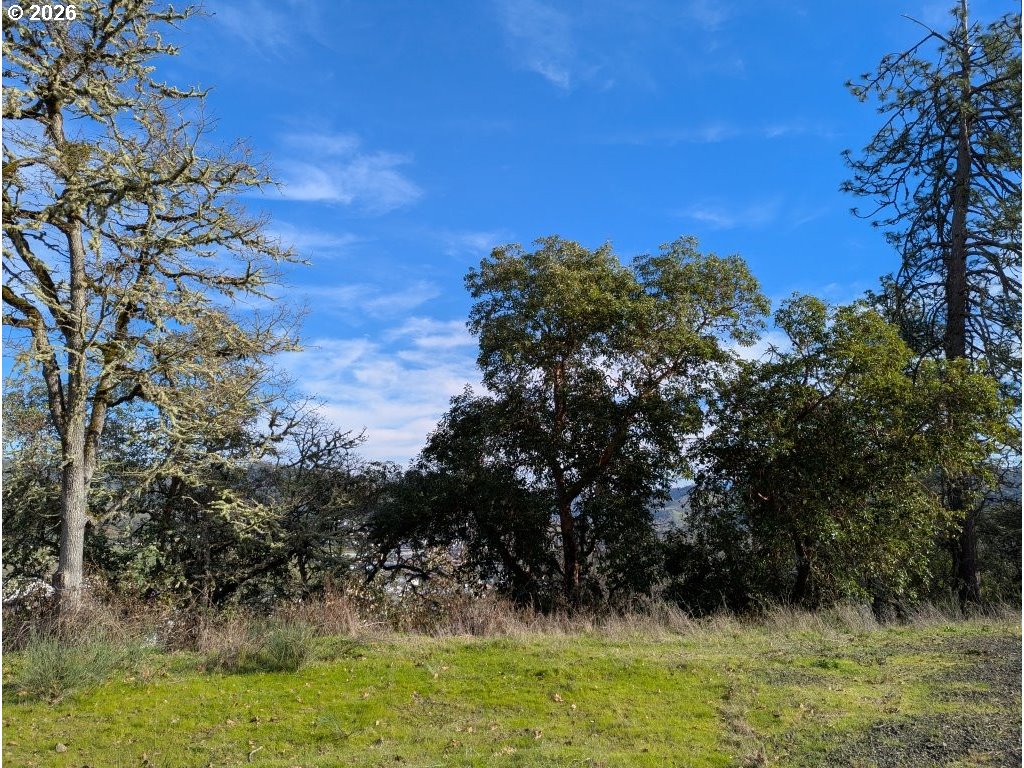 1596 DOUGLAS AVE, Roseburg, OR 97470