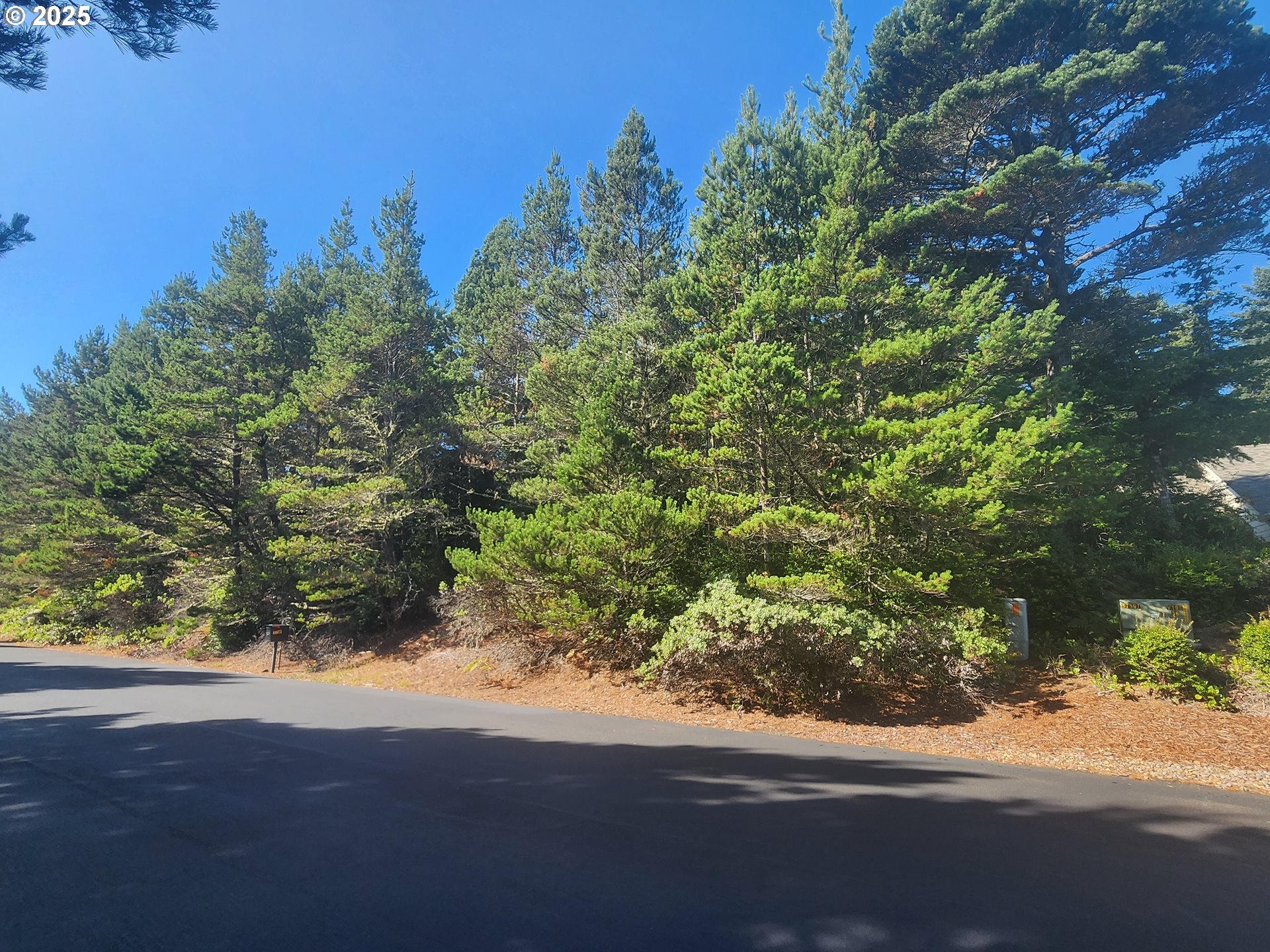 Windleaf WAY, Florence, OR 97439