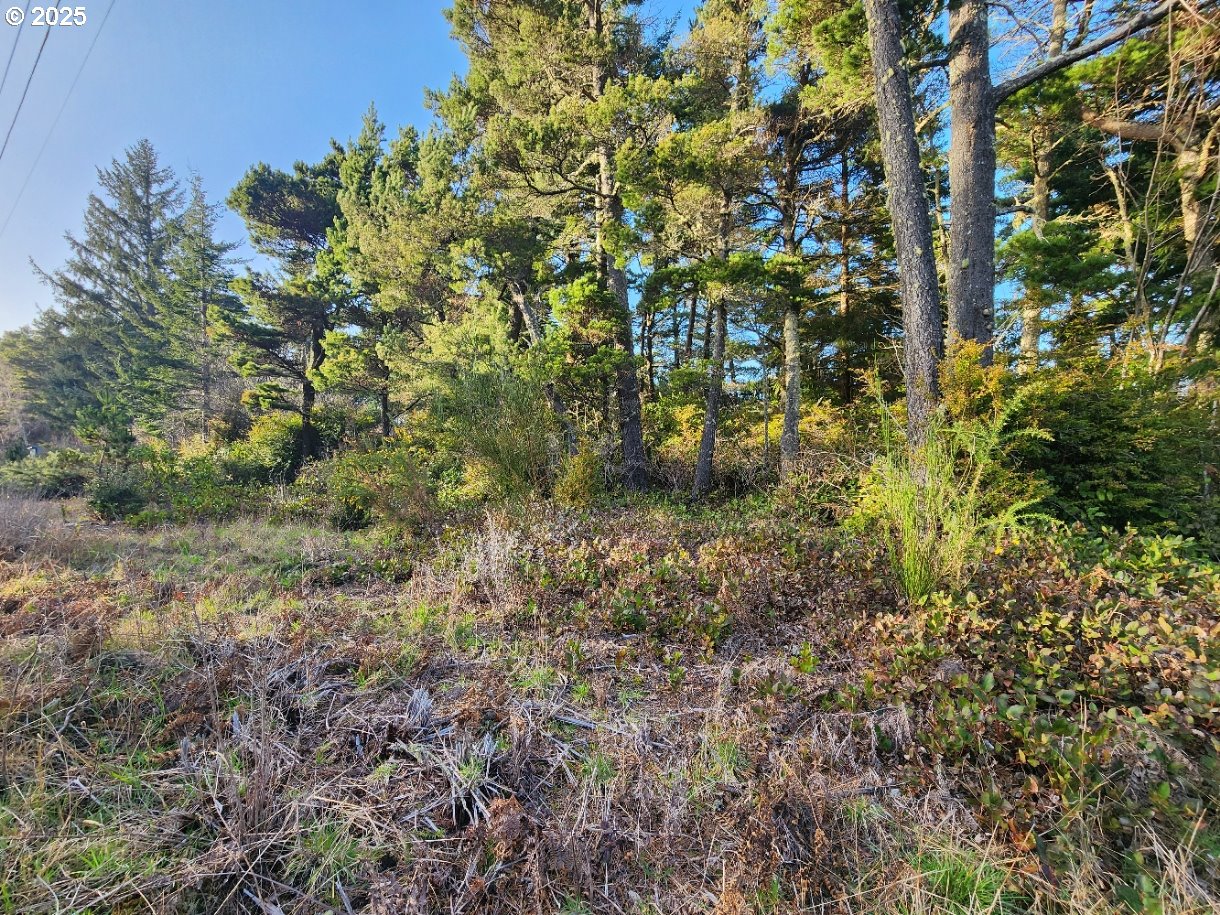 AIRPORT RD, Sixes, OR 97476