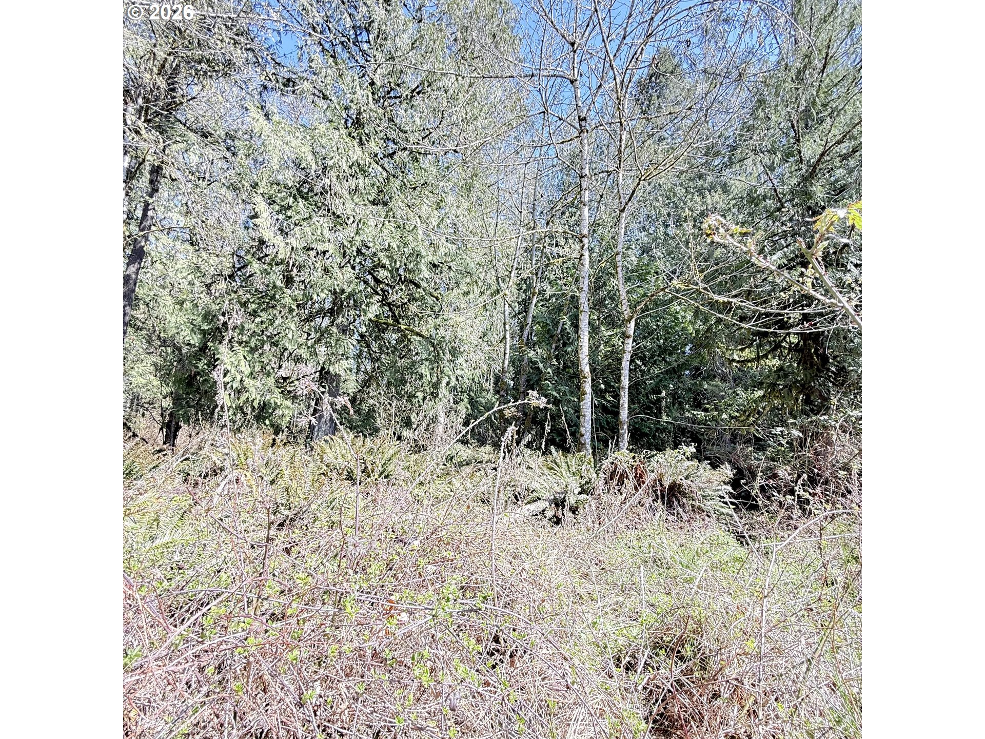 0000 Louisiana AVE, Vernonia, OR 97064
