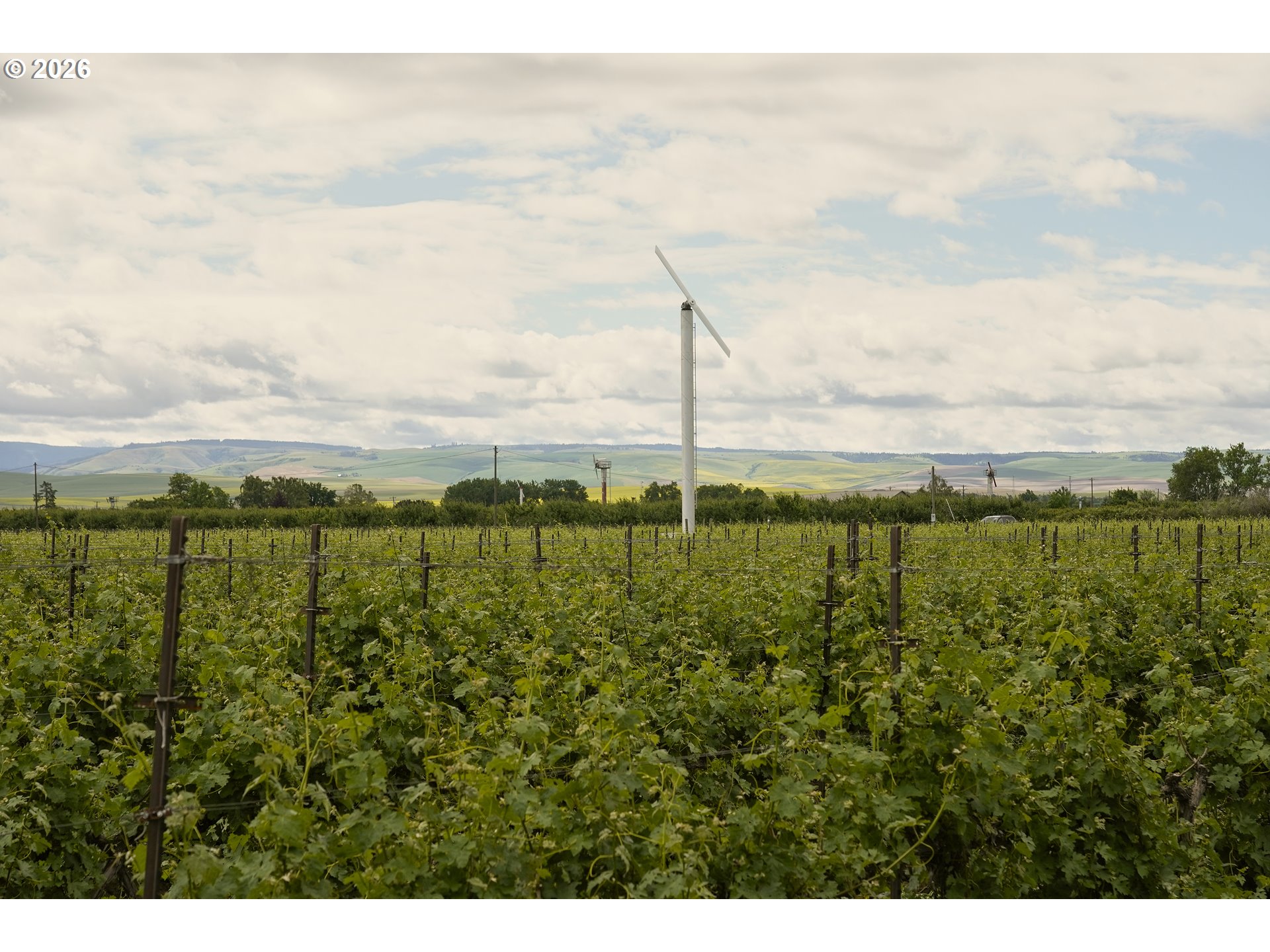 84427 Highway 339, MiltonFreewater, OR 97862