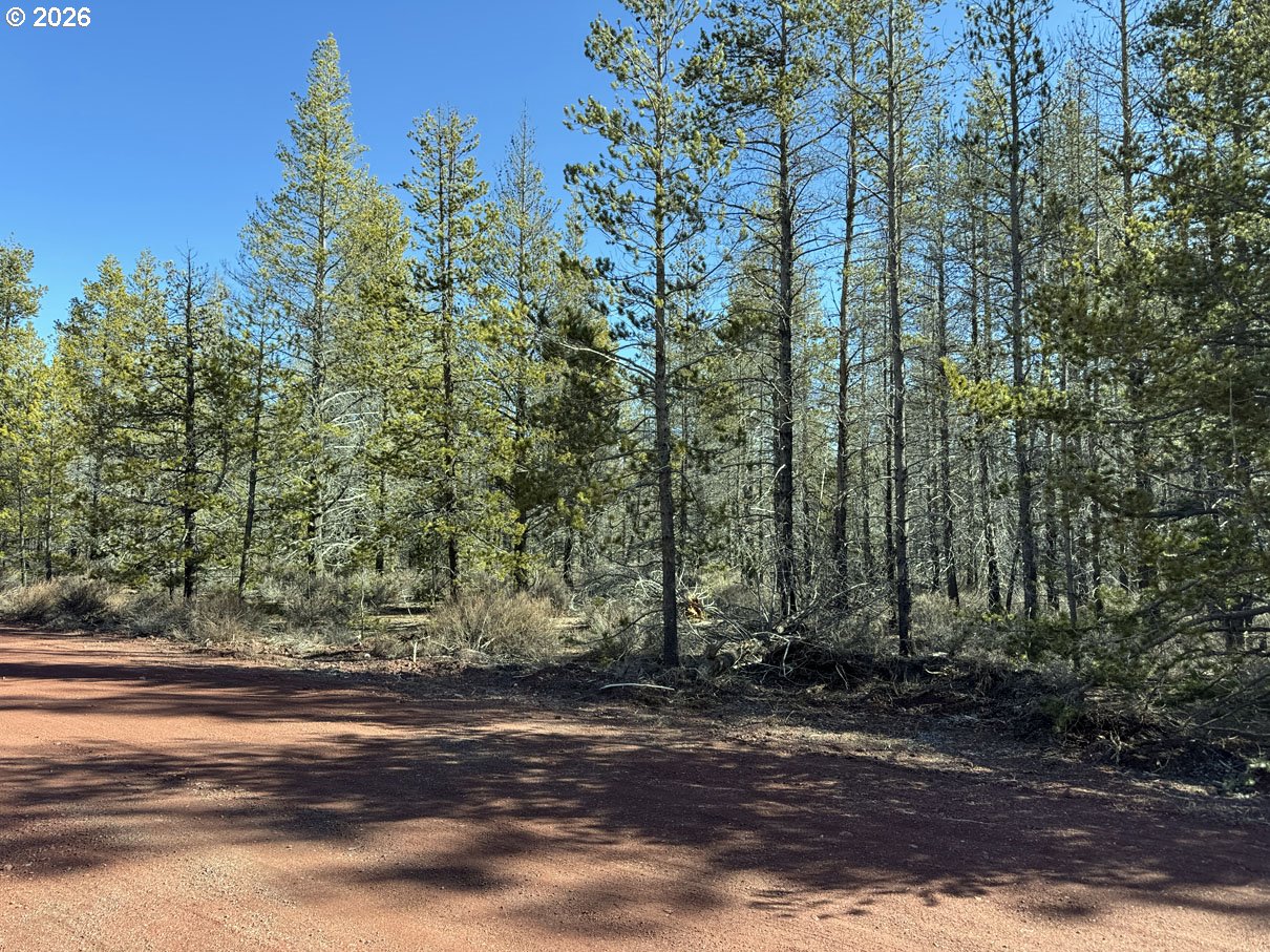 Scott View Drive, Chiloquin, OR 97624