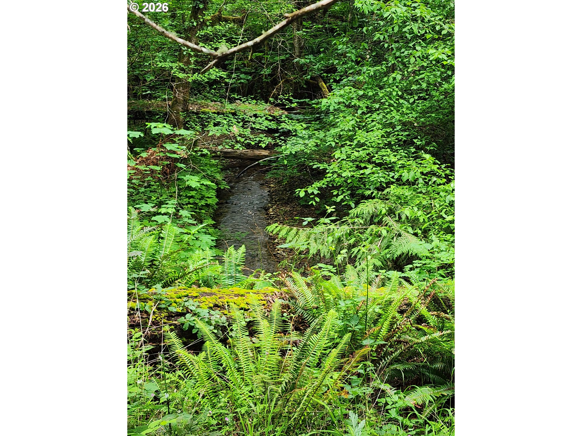 LOUIS CREEK RD, MyrtleCreek, OR 97457