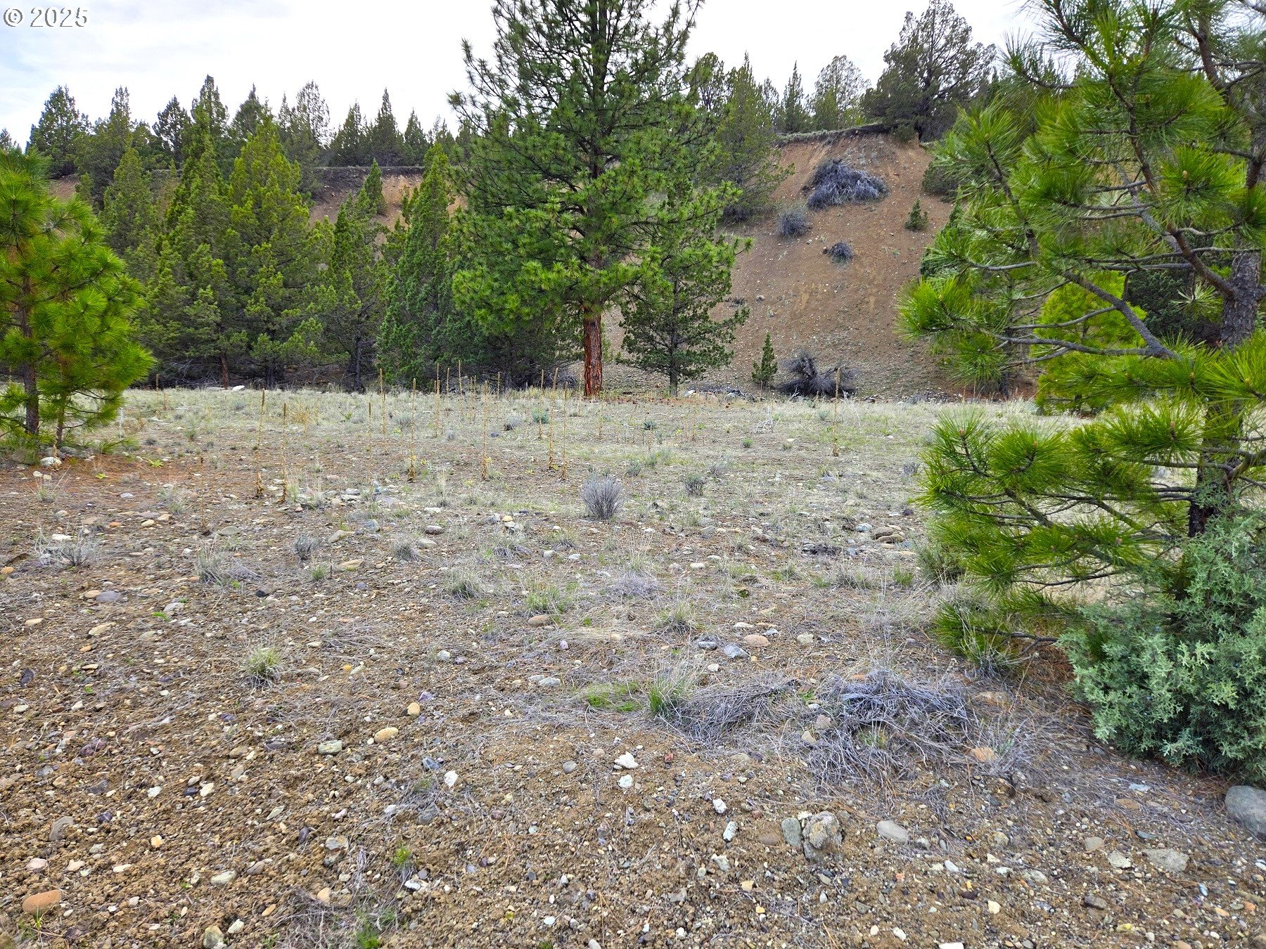 Elkview DR, CanyonCity, OR 97820