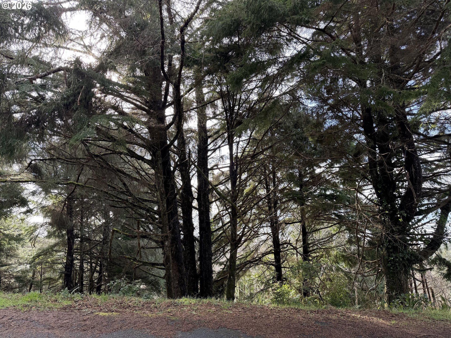 Pacific View Estates, RockawayBeach, OR 97136