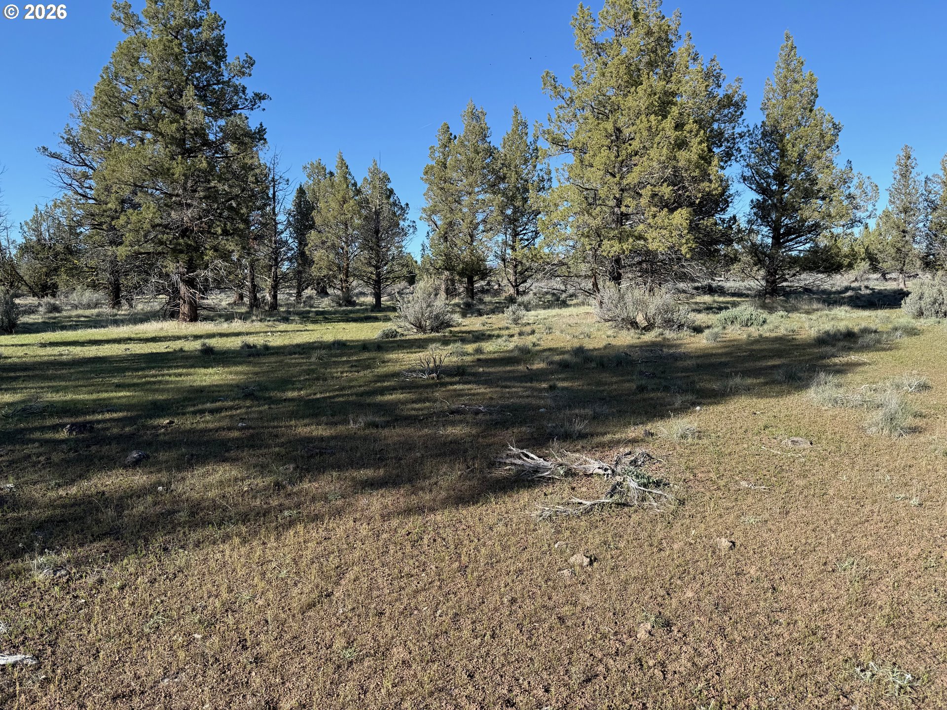 Fishhole creek RD, Bly, OR 97622