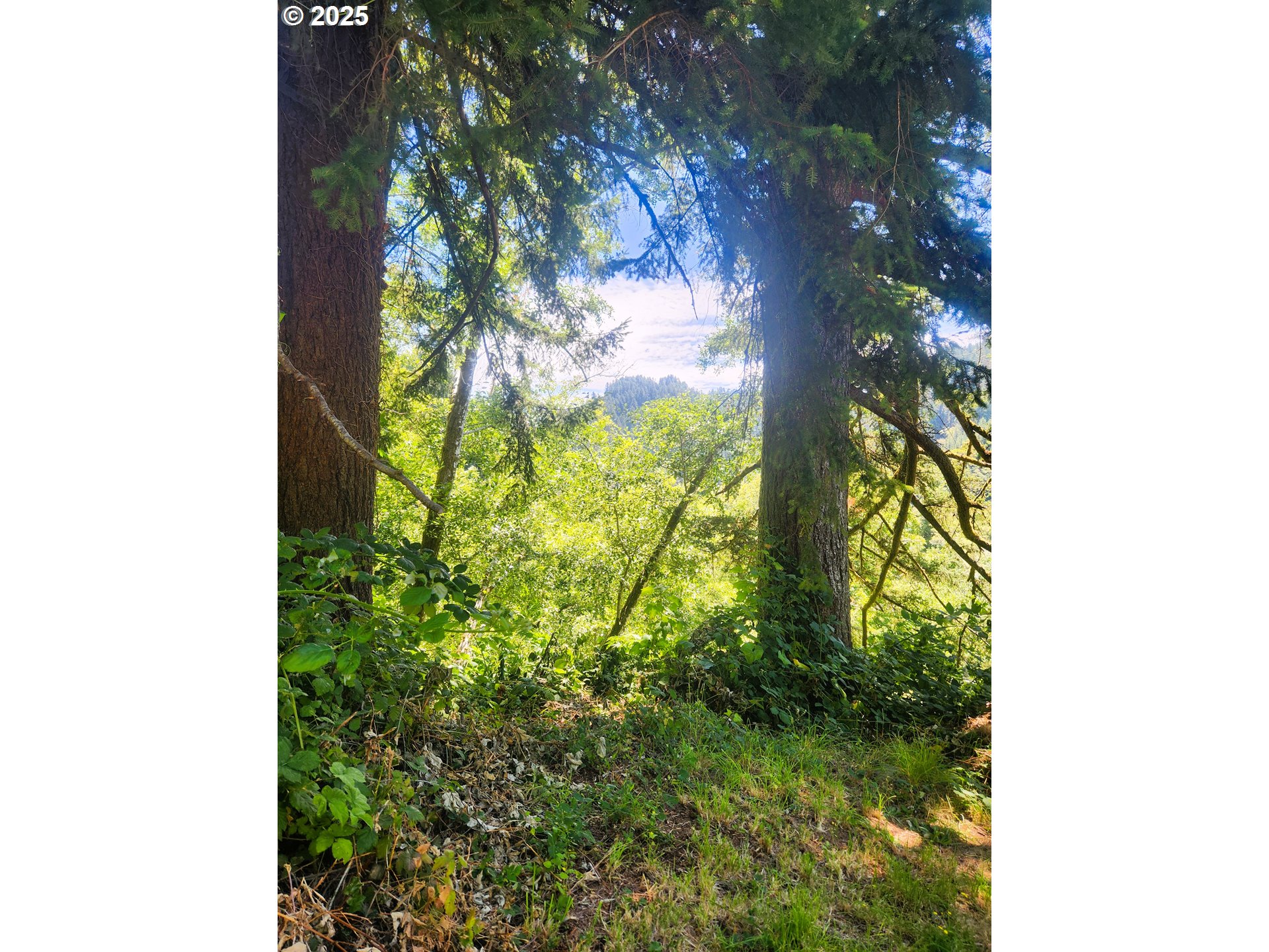 Tiernan RD, Mapleton, OR 97453