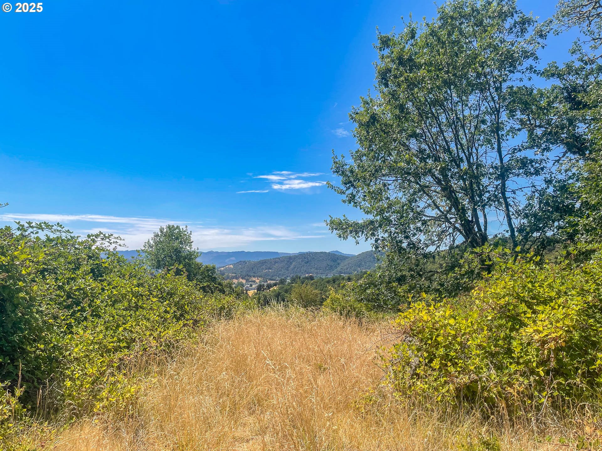 ALAMEDA AVE, Roseburg, OR 97470