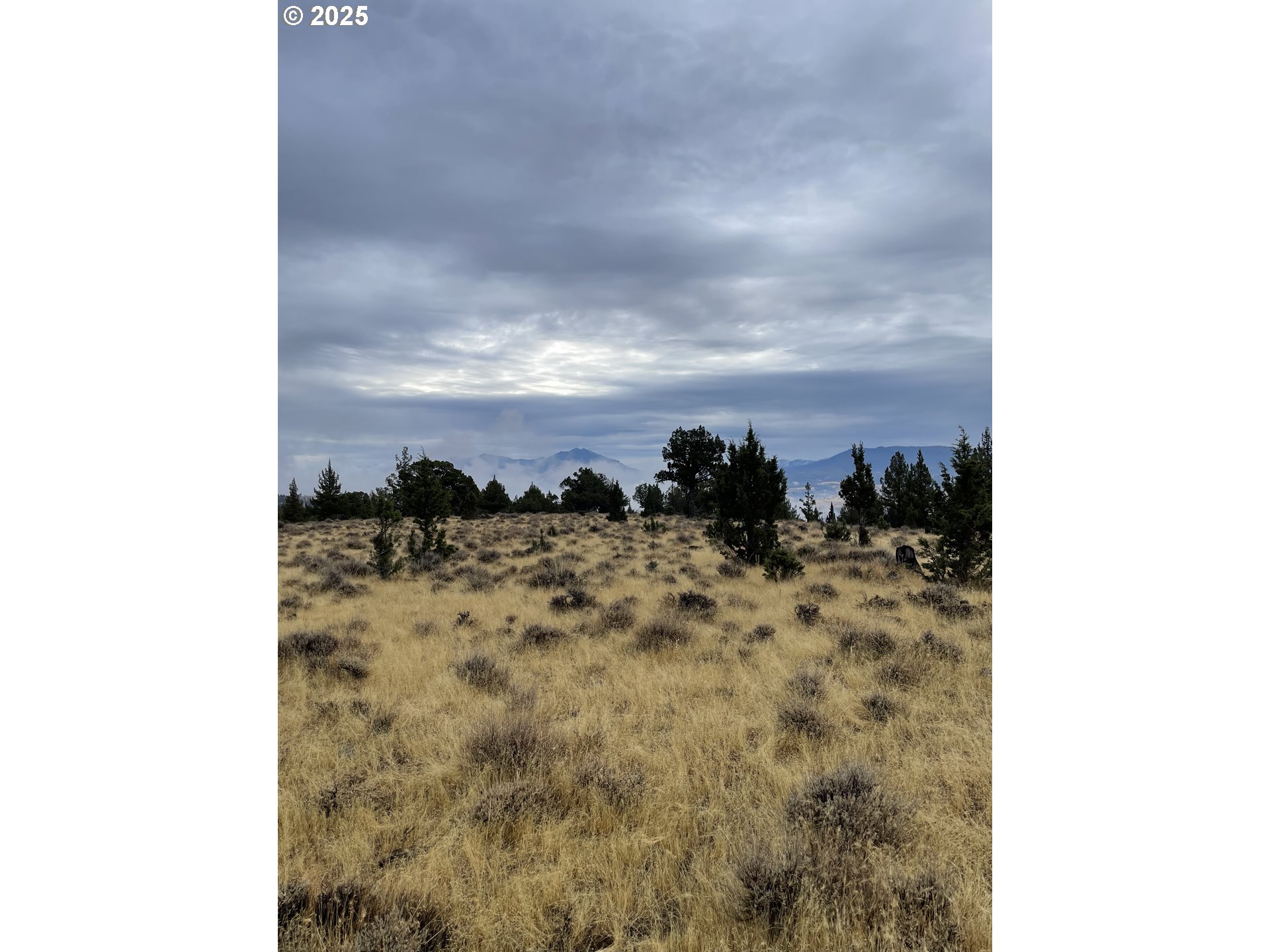 Wiley Creek RD, Dayville, OR 97825