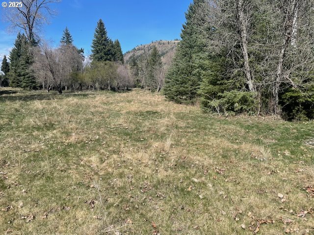 Fir RD, Lostine, OR 97857