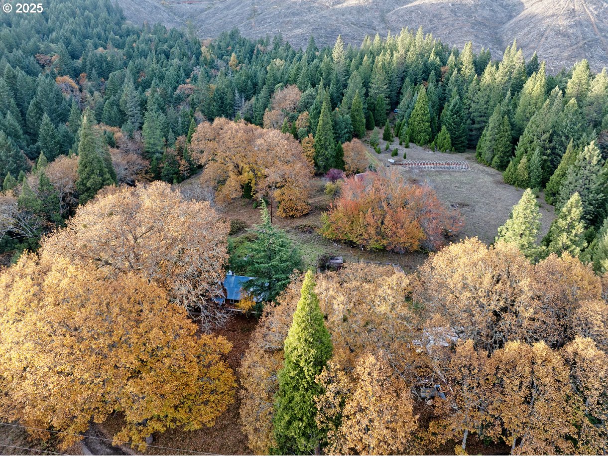 1480 BRIDGE LN, WolfCreek, OR 97497