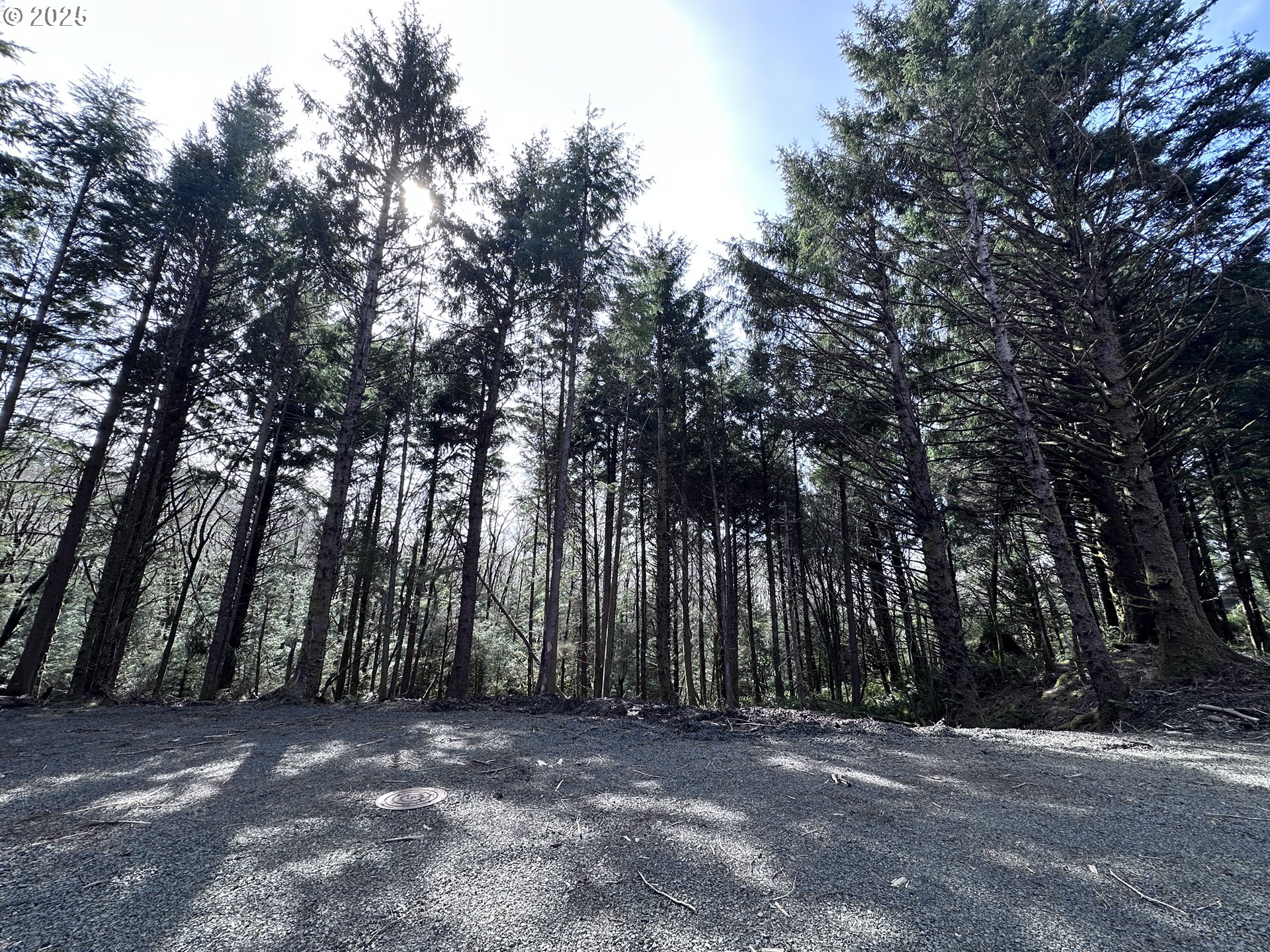Greenleaf Road, ArchCape, OR 97102