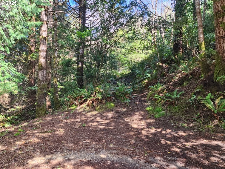 Jefferson ST, PortOrford, OR 97465