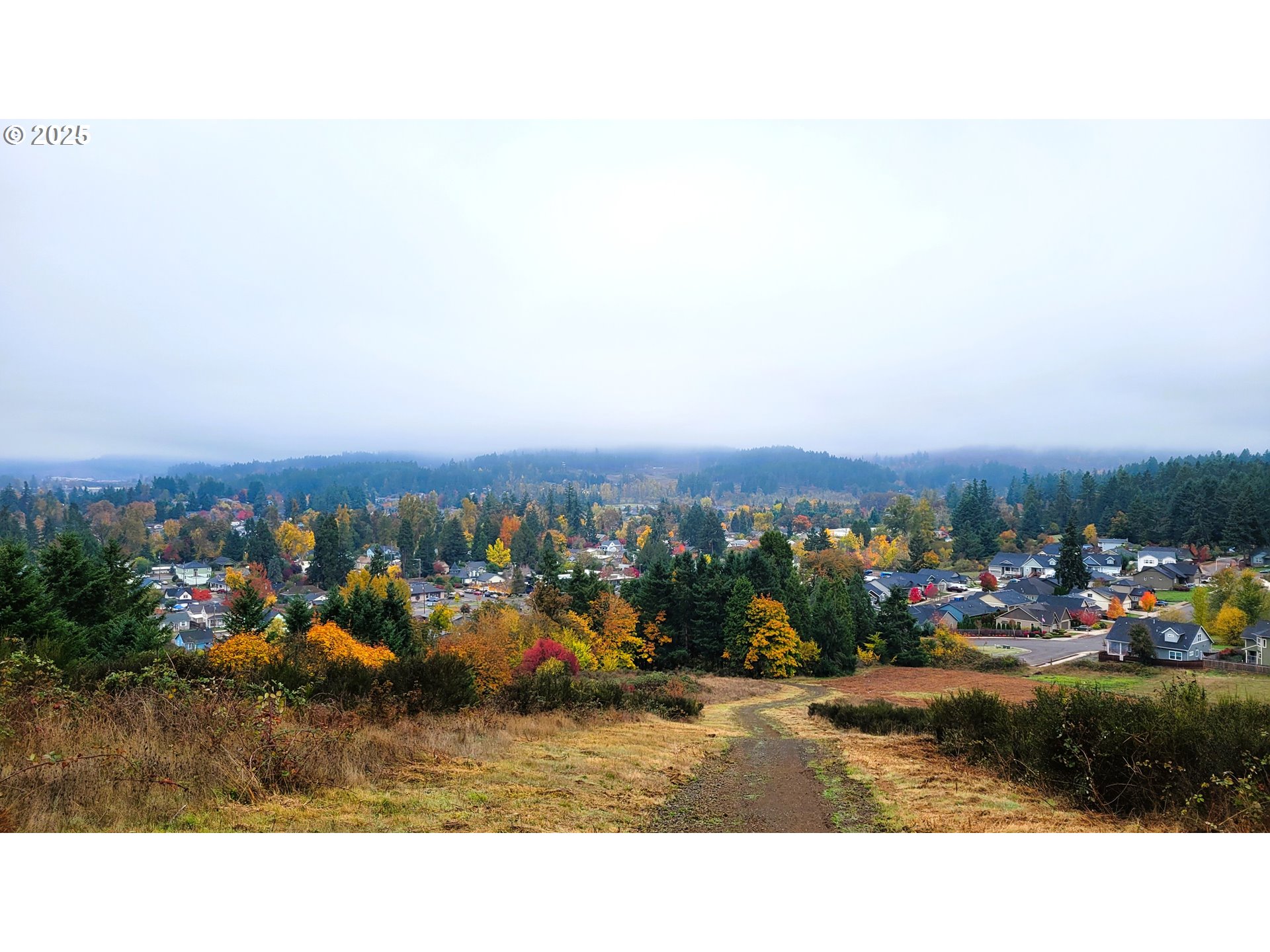 Mt David, CottageGrove, OR 97424