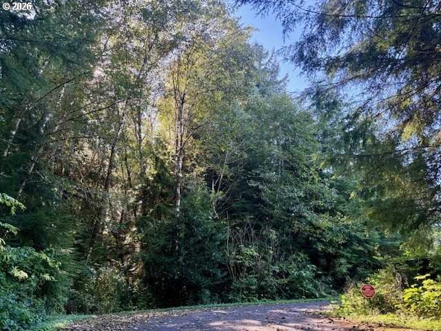 1 Cedar ST, Wheeler, OR 97147