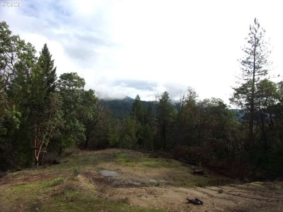 18515 DITCH CREEK RD, RogueRiver, OR 97537