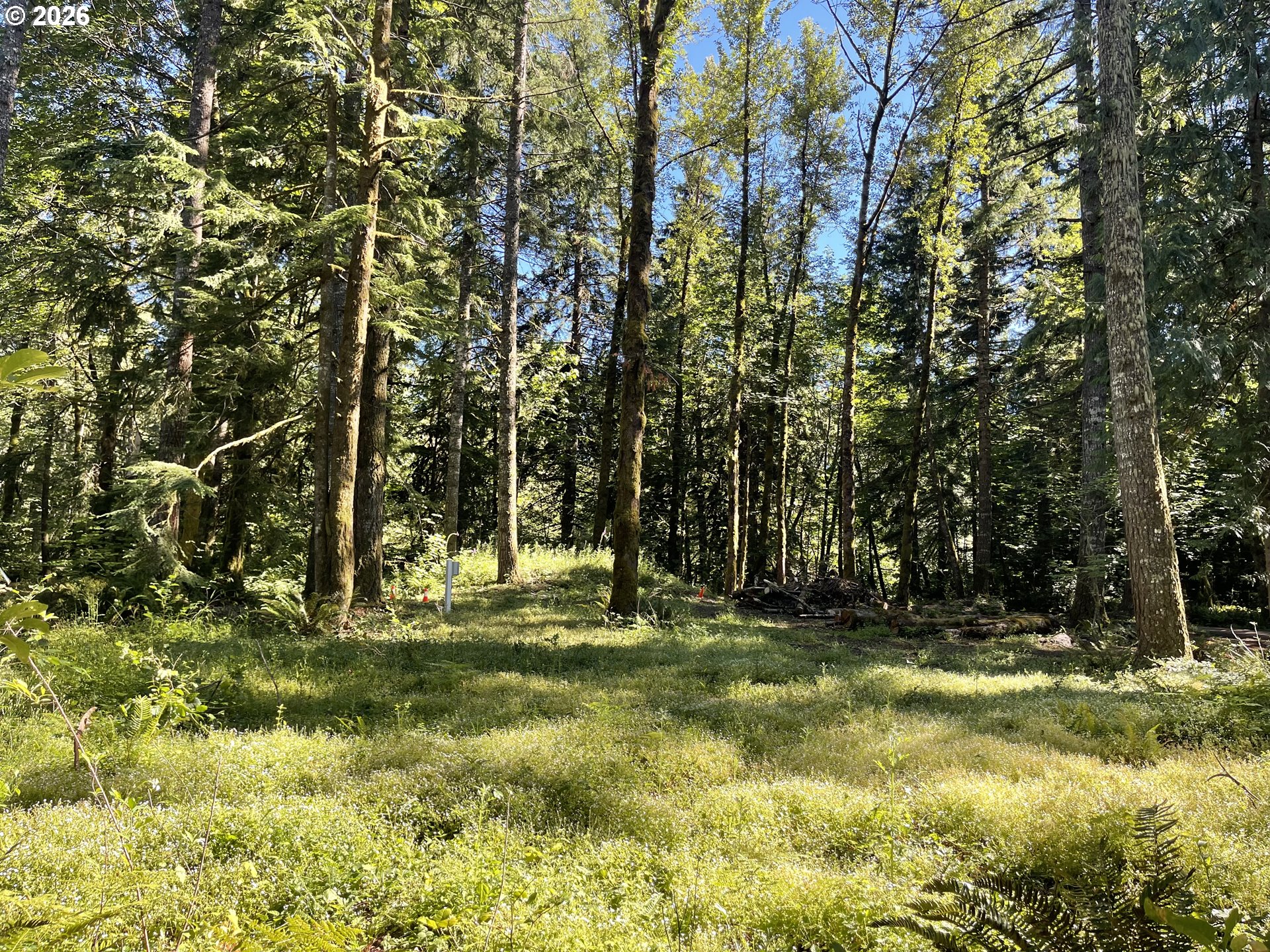23282 SANDY AVE, Rhododendron, OR 97049