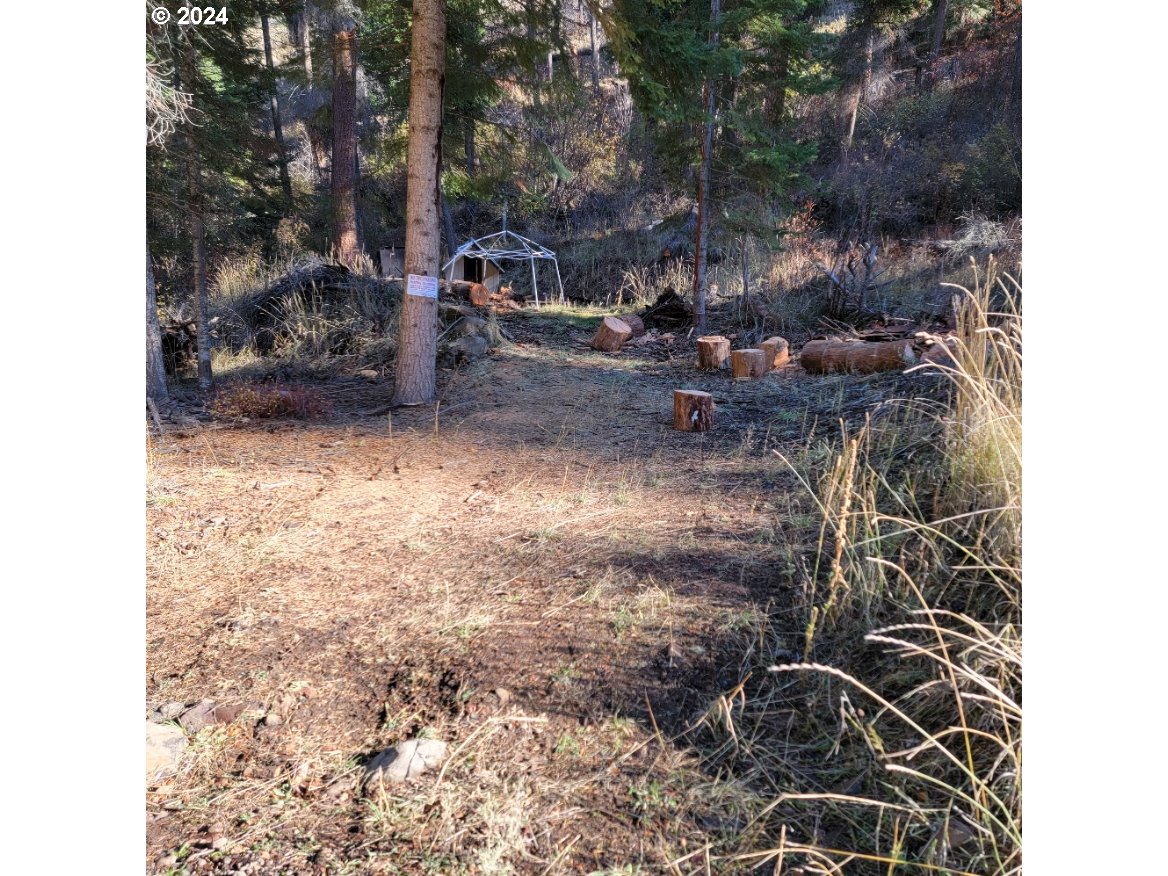 River Canyon RD, Imnaha, OR 97842
