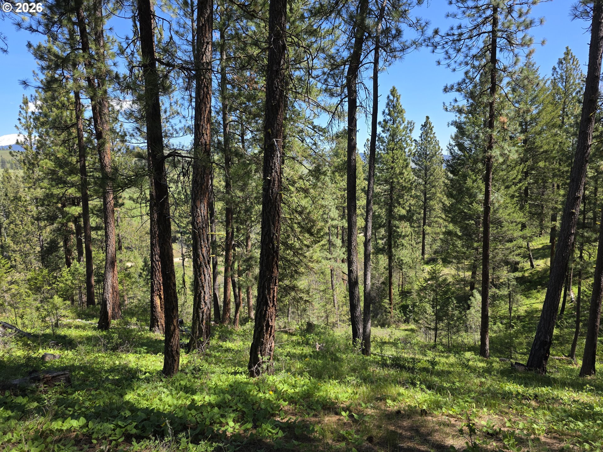 Ledge Creek, BakerCity, OR 97814