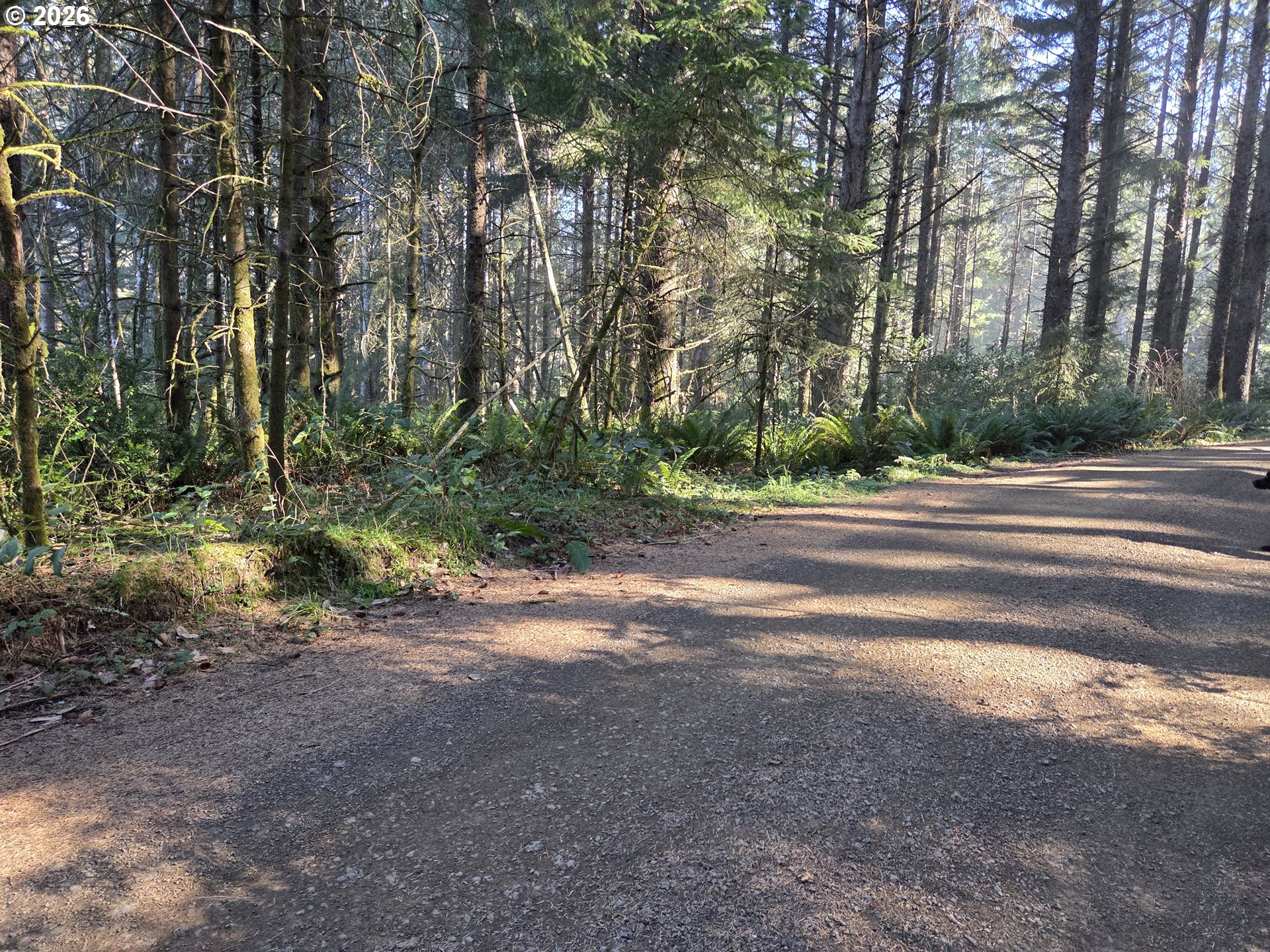 Greggs Creek RD, GoldBeach, OR 97444