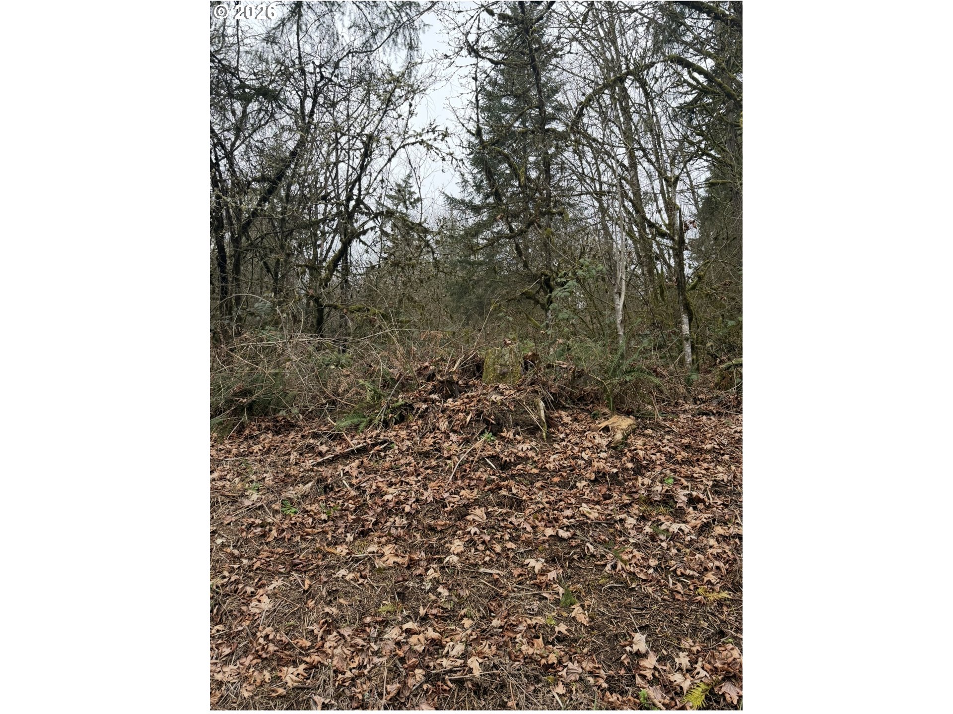Hutchinson RD, Rainier, OR 97048