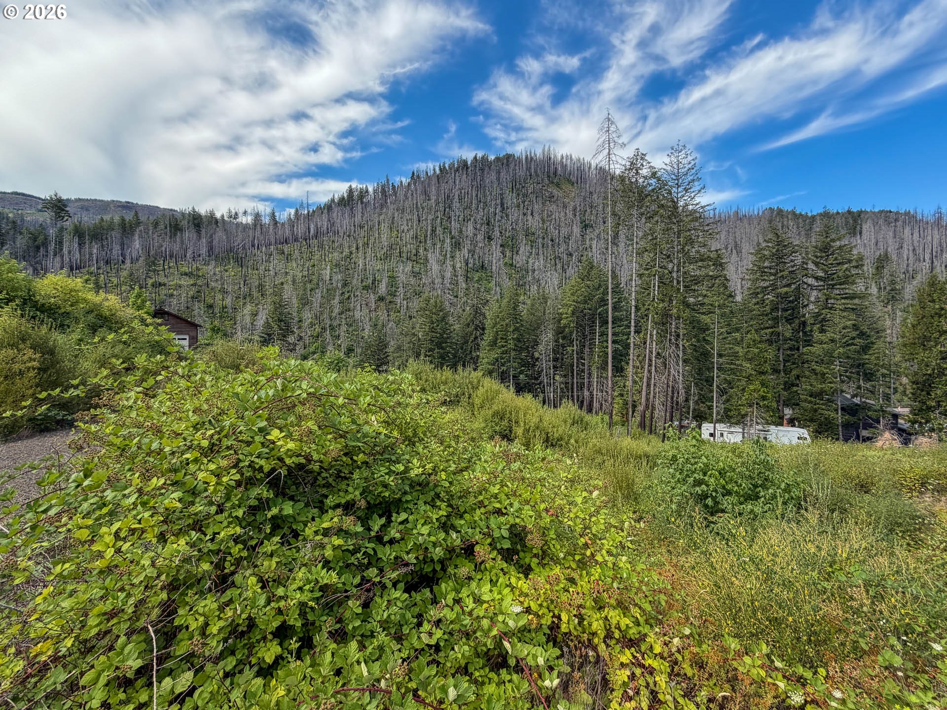 EVERGREEN LN, IdleyldPark, OR 97447