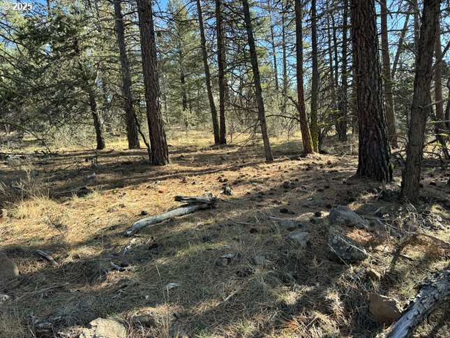 Bunting Drive, Bonanza, OR 97623