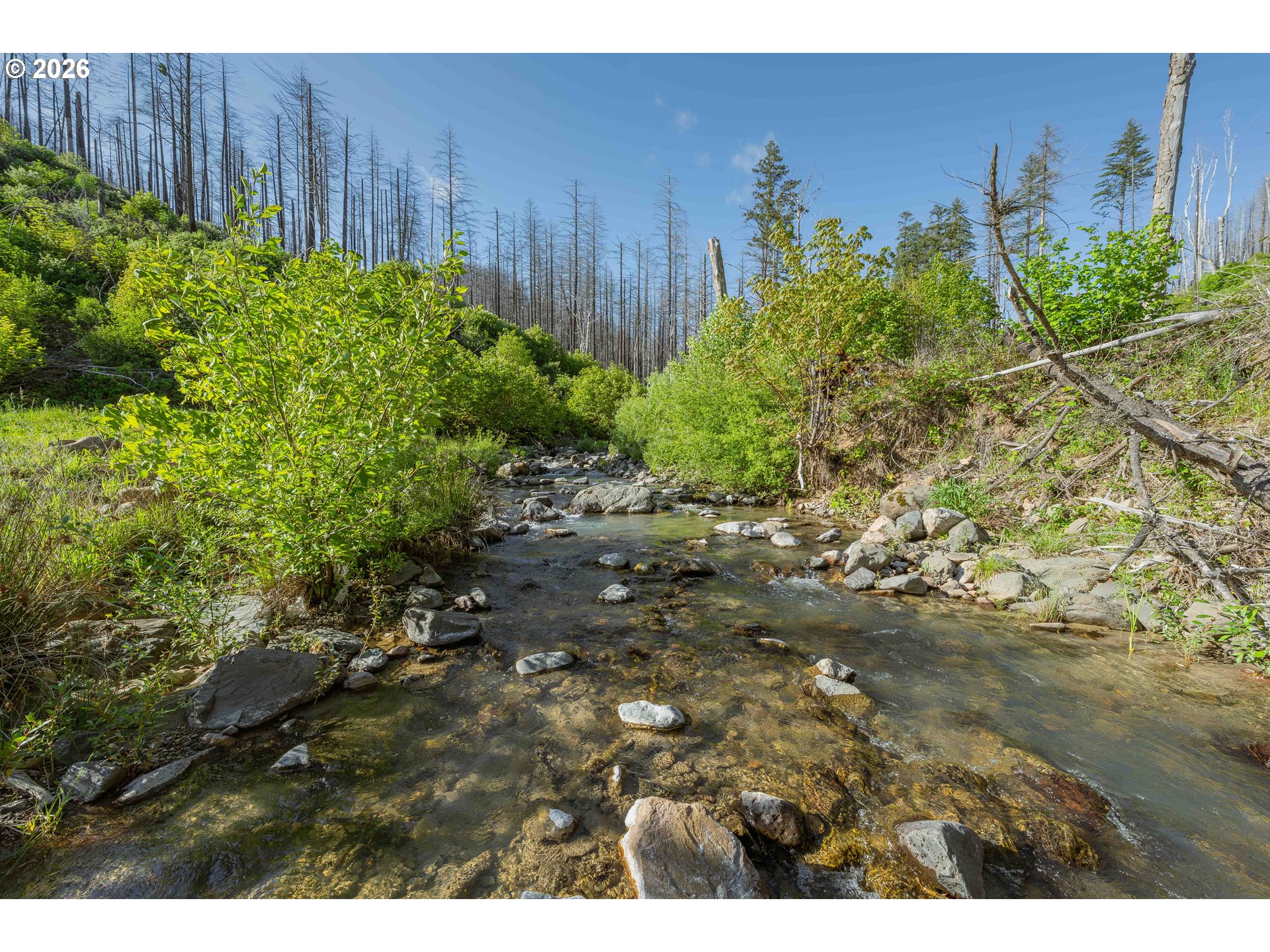 942 HONEY CREEK RD, IdleyldPark, OR 97447