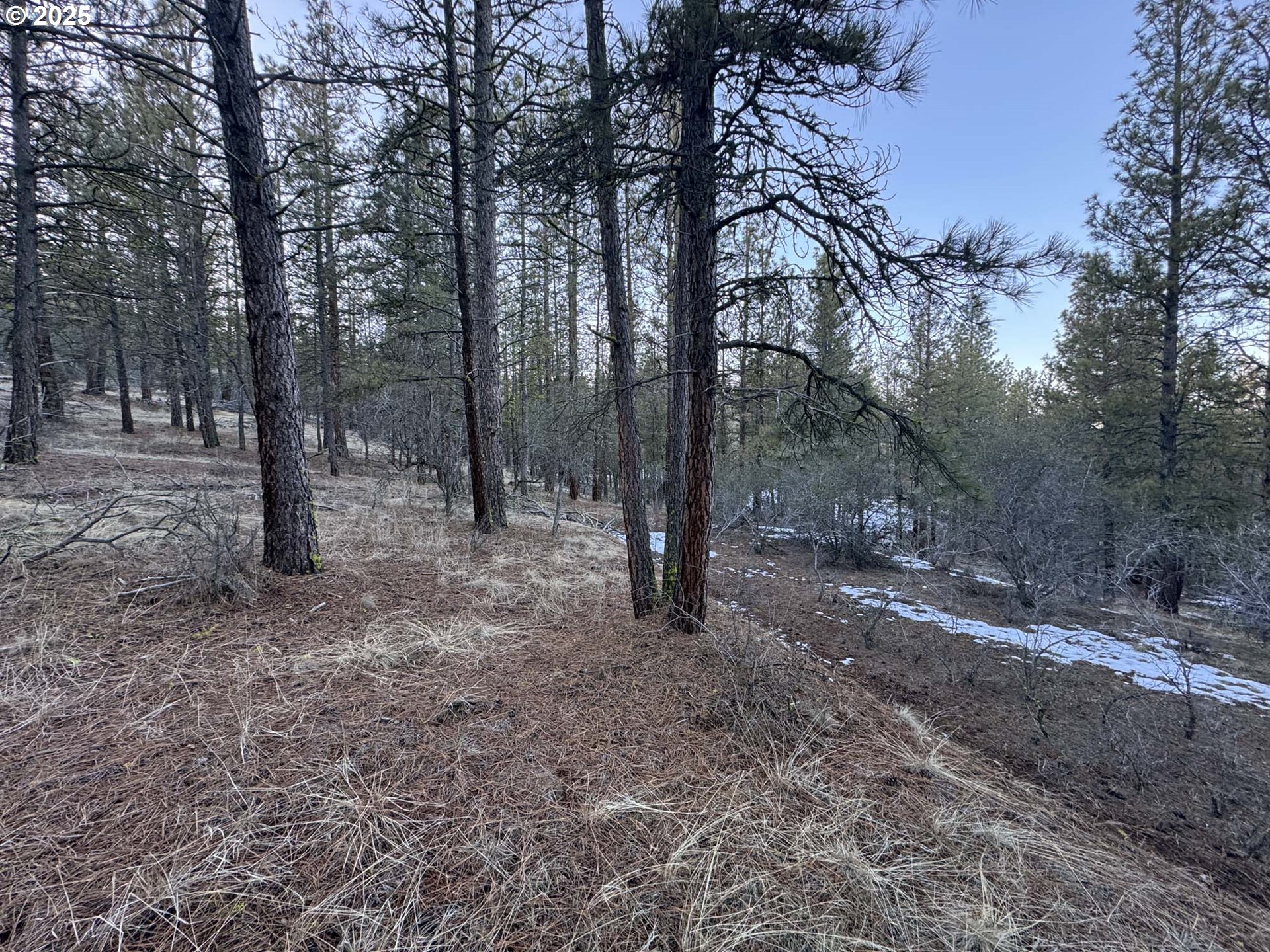 Bobcat CIR, Beatty, OR 97621