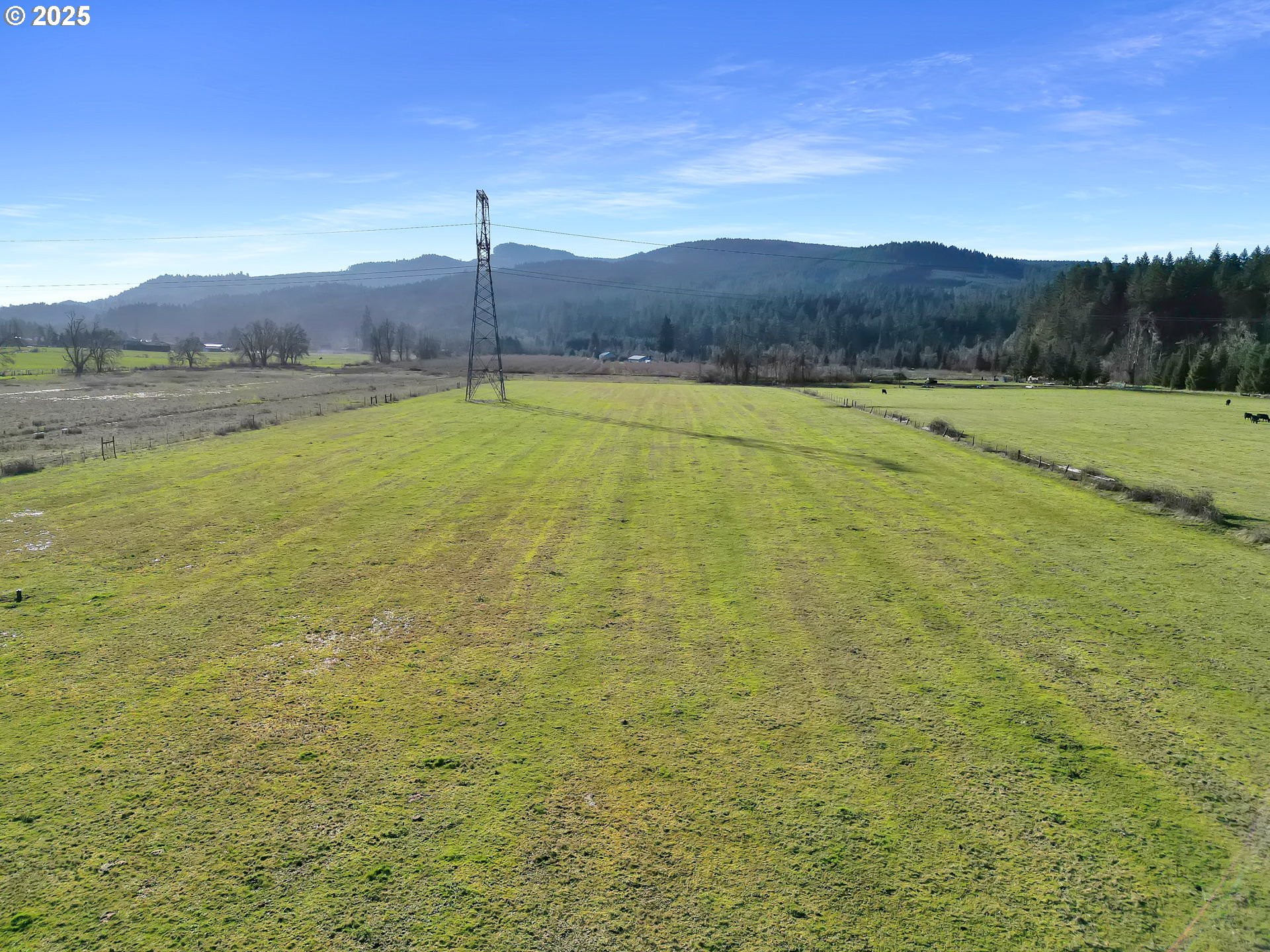 Upper Camp Creek RD, Springfield, OR 97478