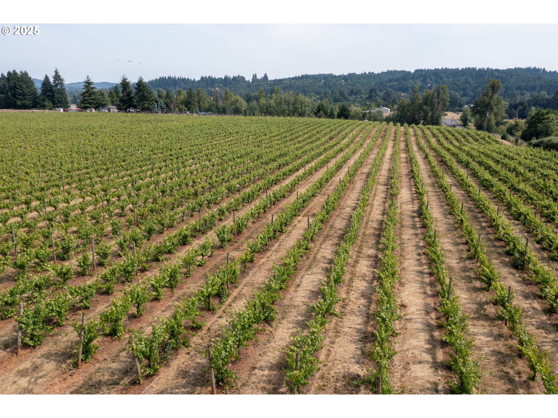 Pioneer RD, Dallas, OR 97338
