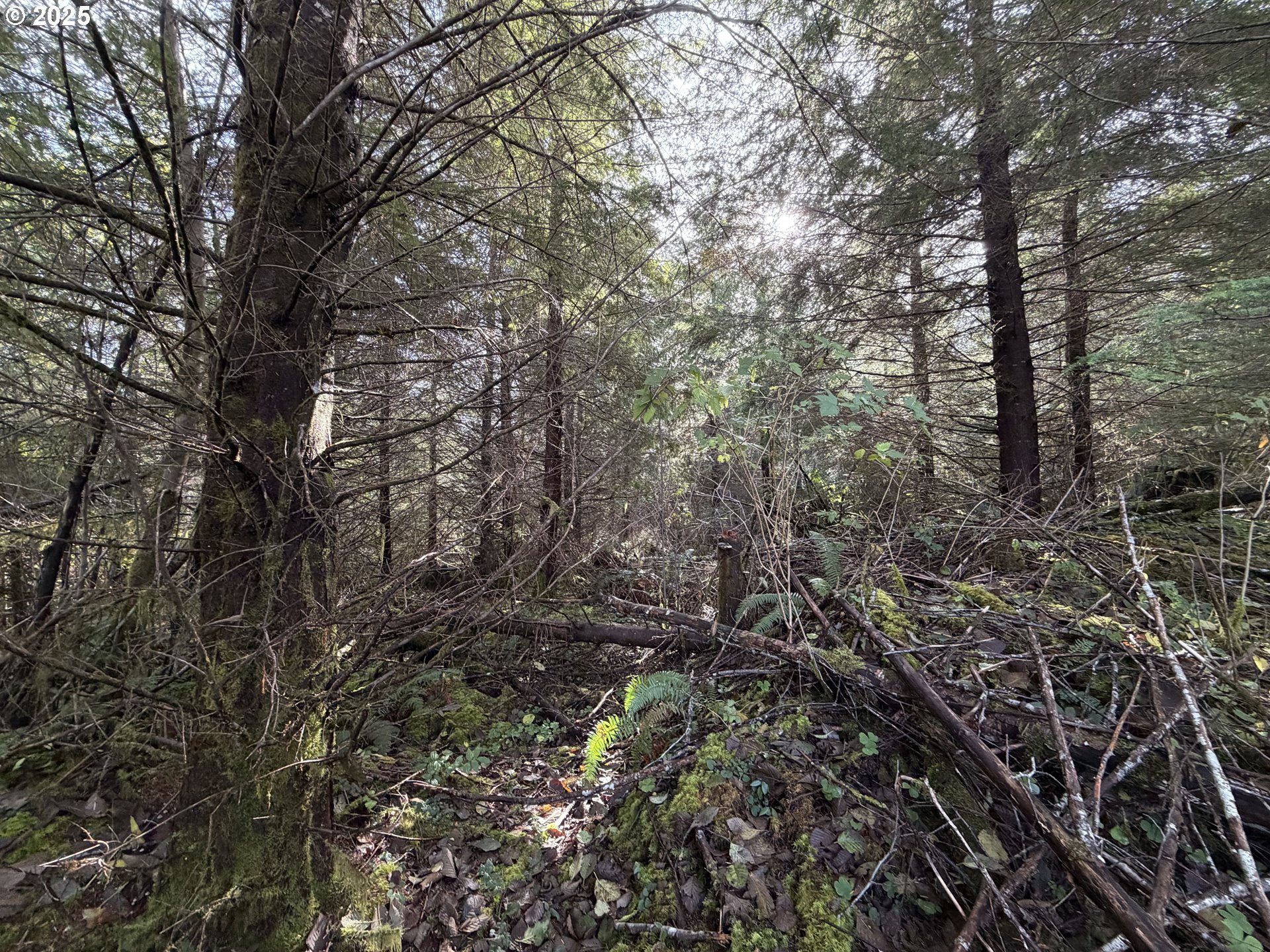 Necanicum HWY, Seaside, OR 97138
