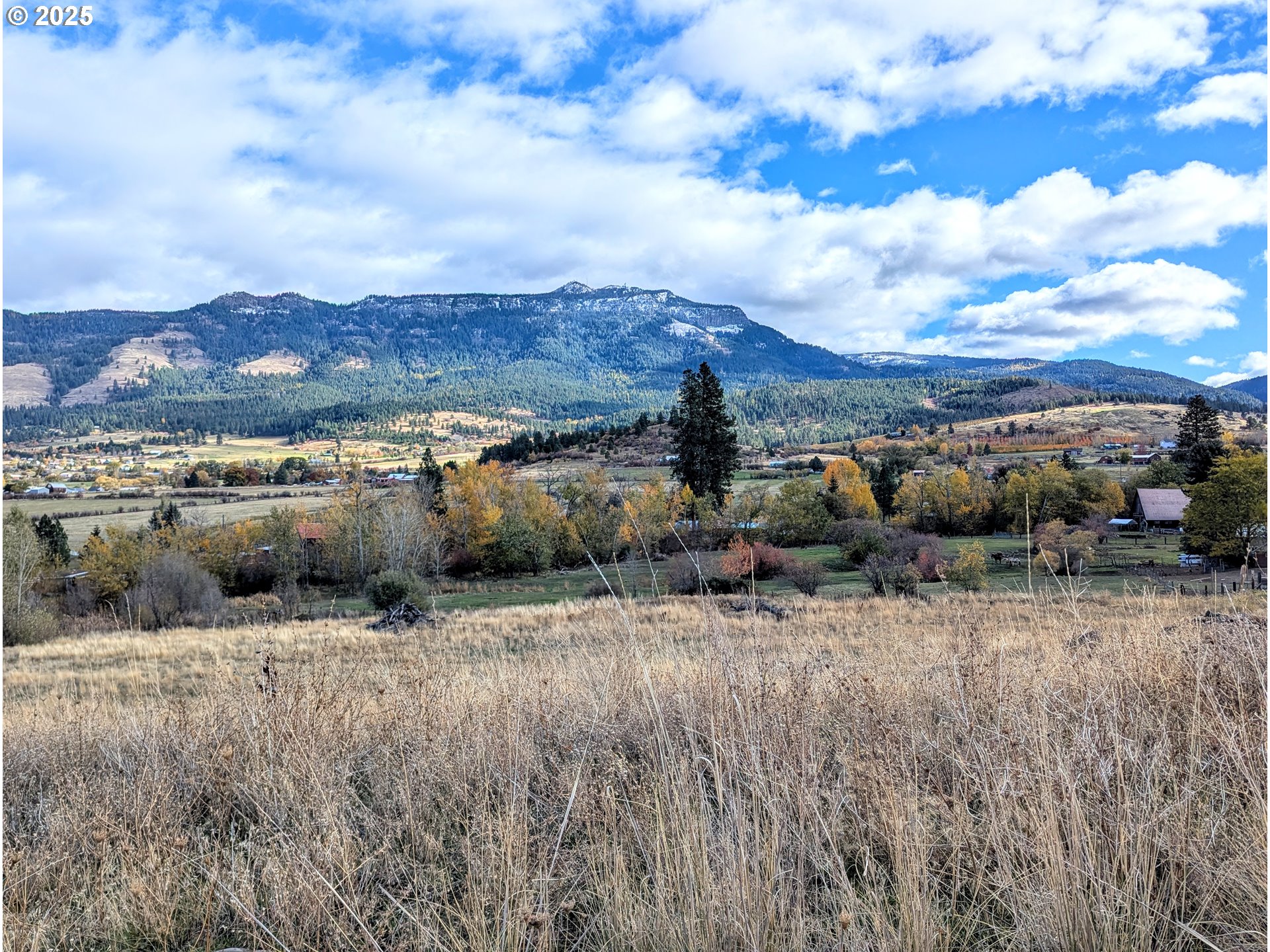 Rose Ridge RD, Cove, OR 97824