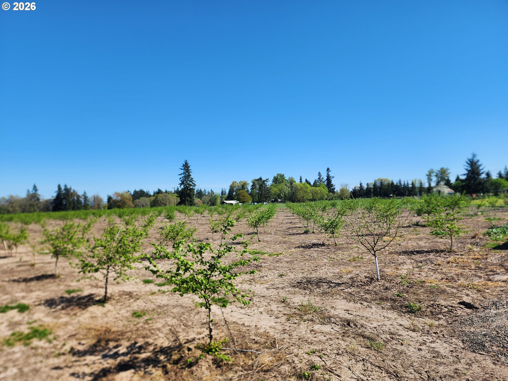 36501 GILKEY RD, Scio, OR 97374