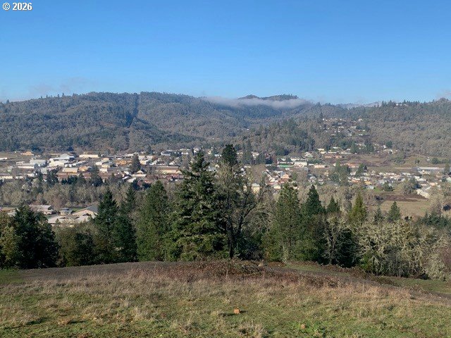 2 PEARCE RD, Roseburg, OR 97470