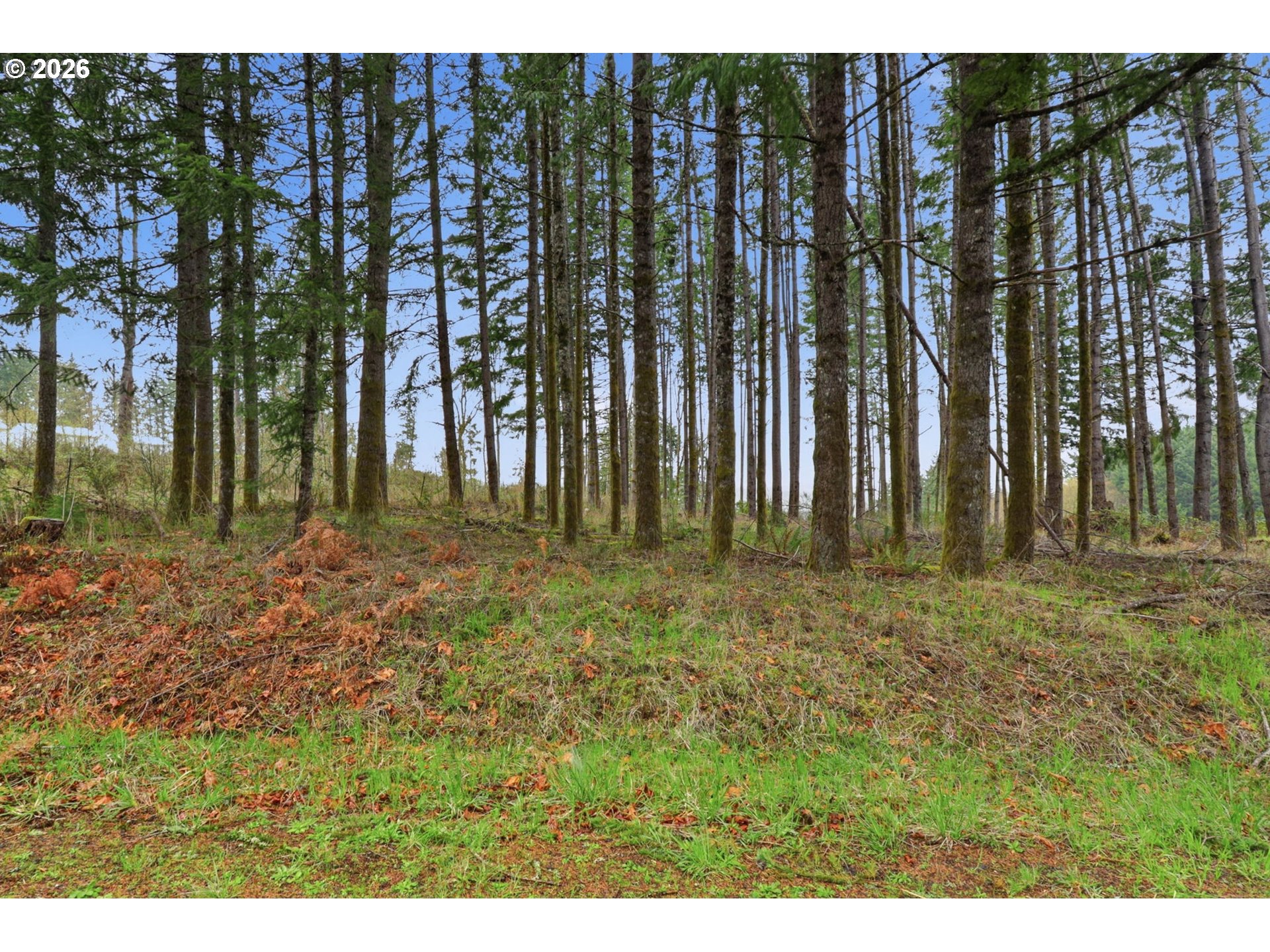Pumpkin Ridge RD, NorthPlains, OR 97133