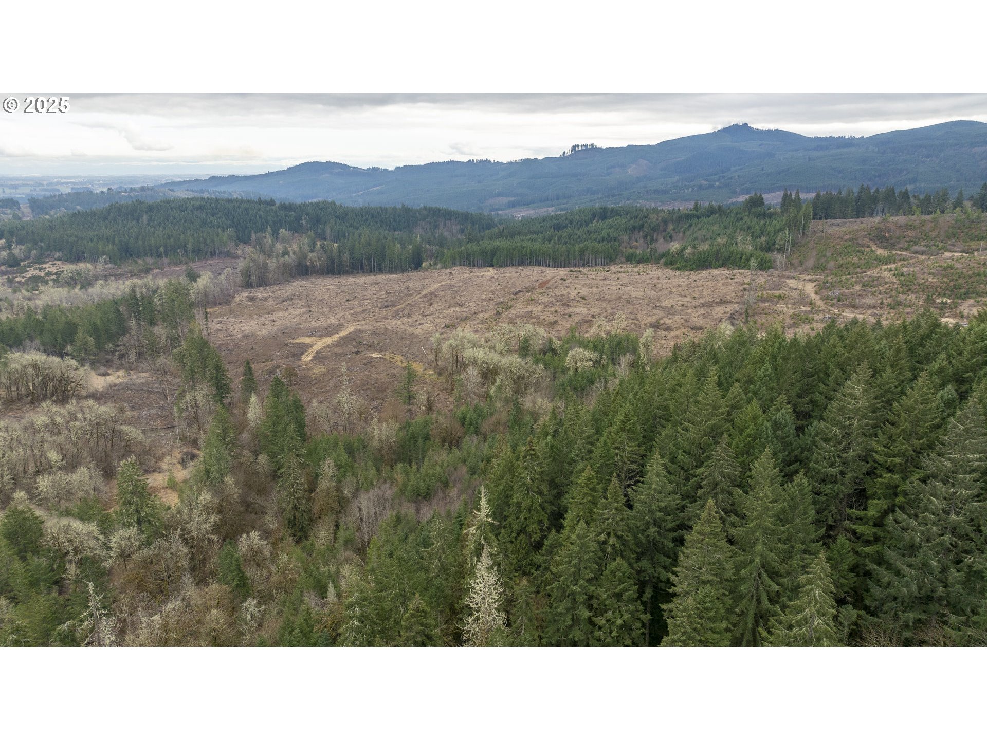 Panther Creek RD, Carlton, OR 97111